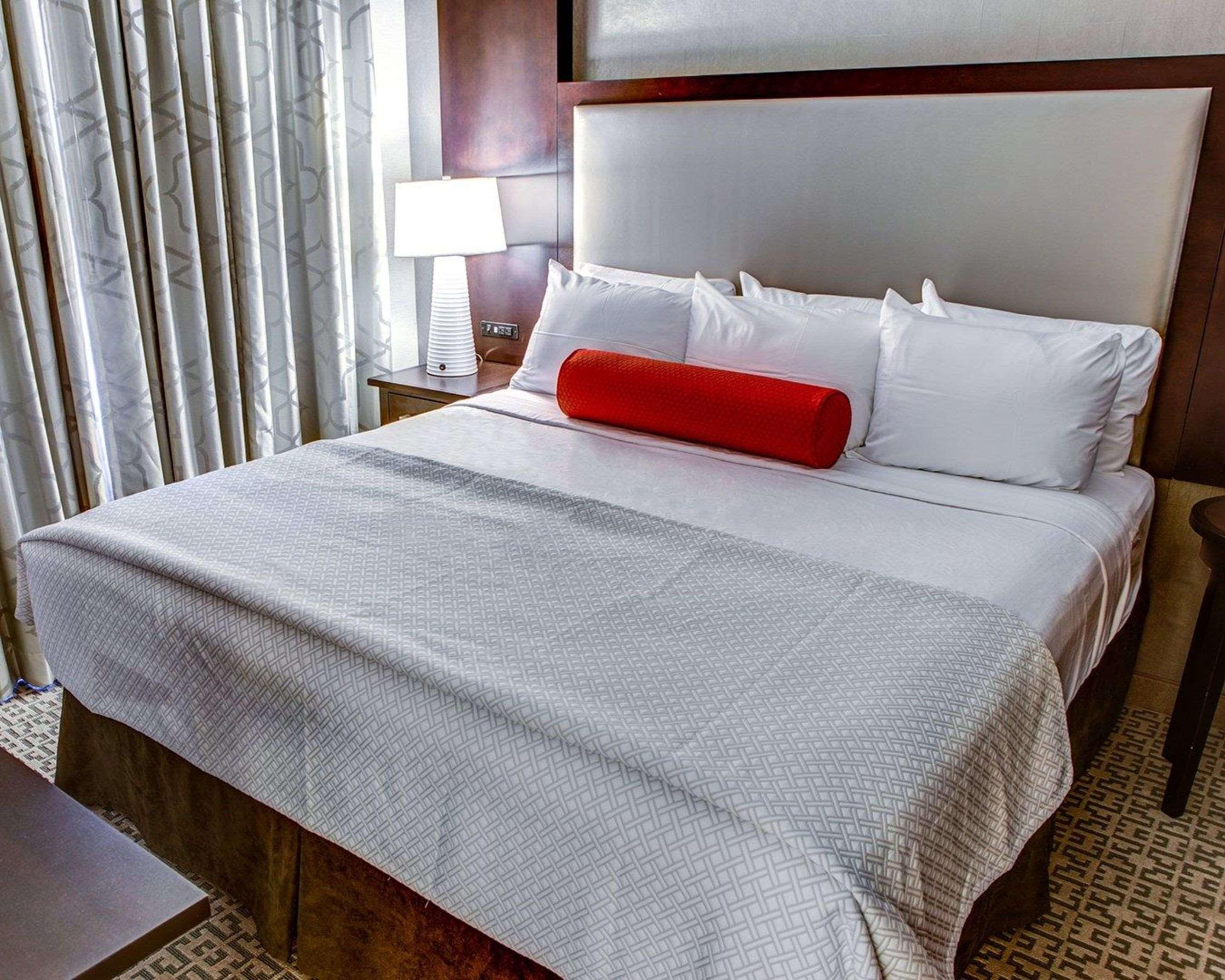 Suite King Bed Non Smoking