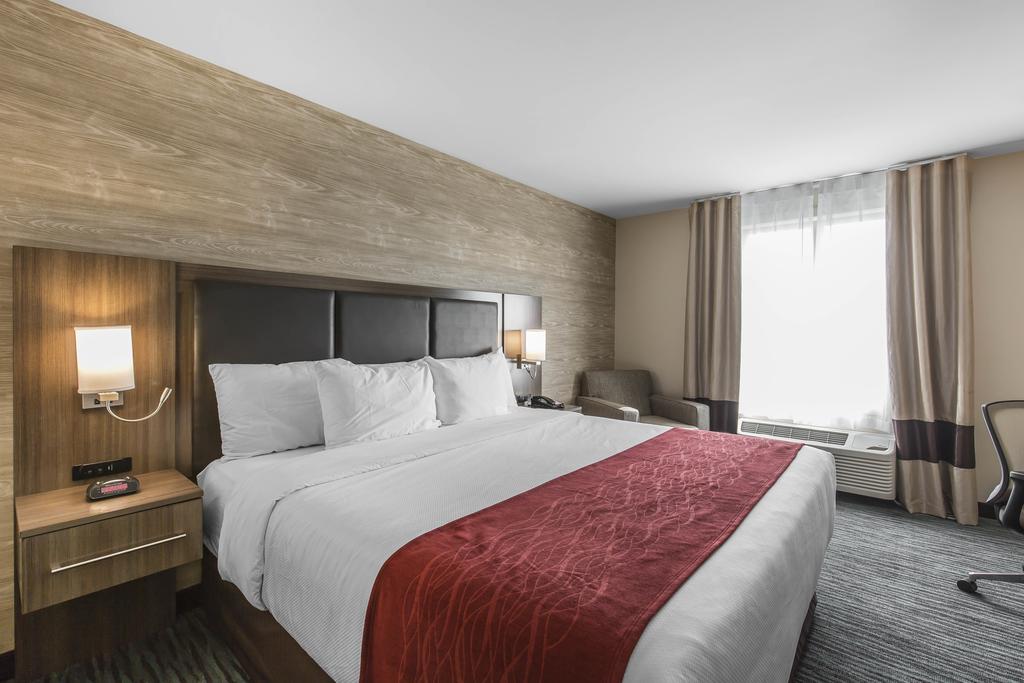 Double Queen Size Bed