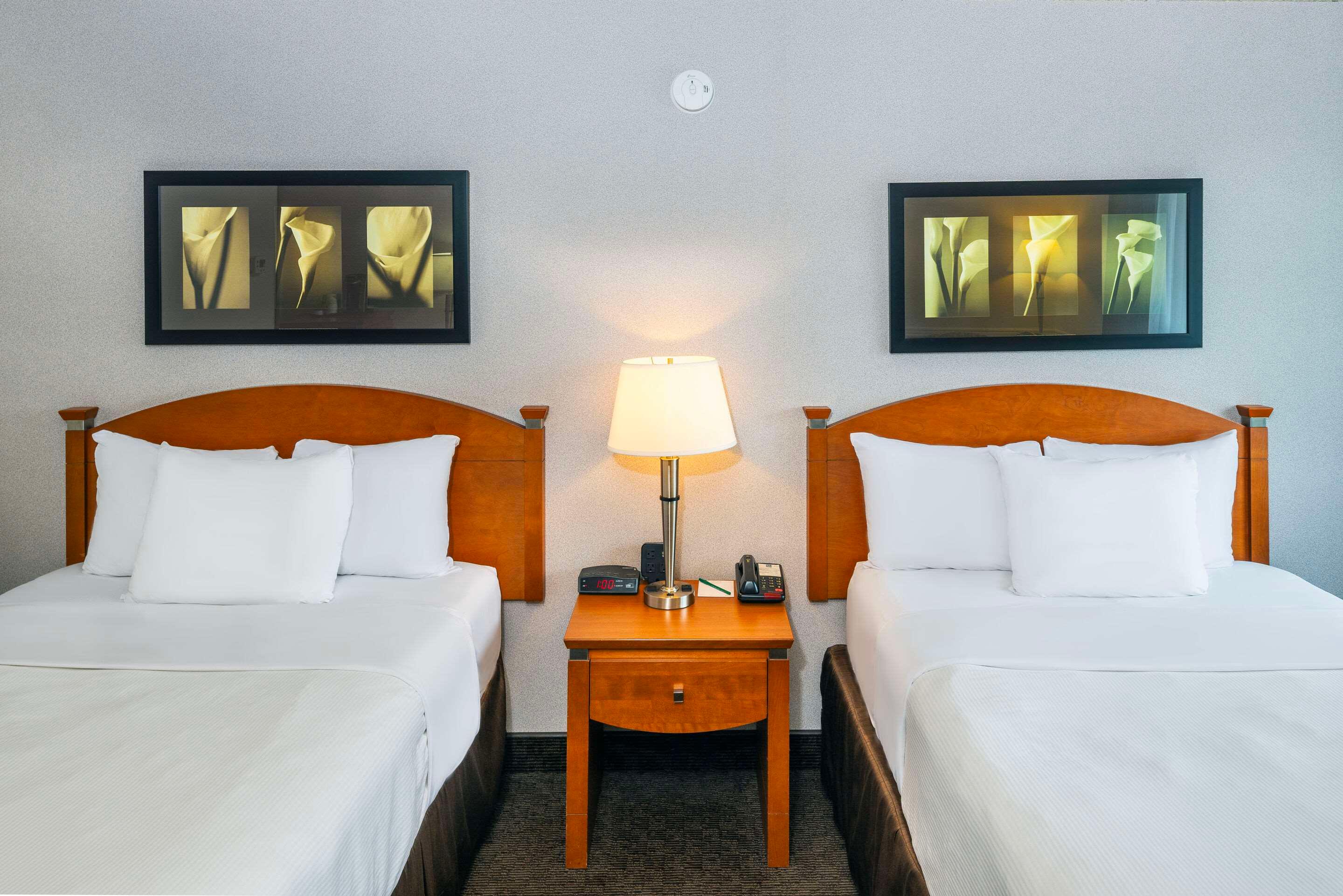 Double Two Double Beds Non Smoking