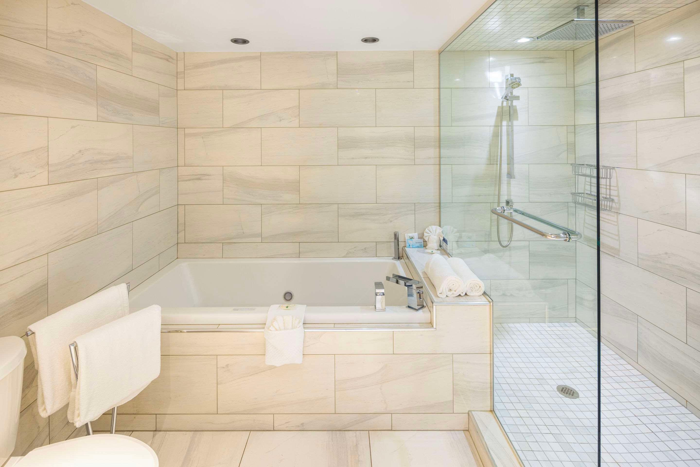 Suite King Bed Non Smoking