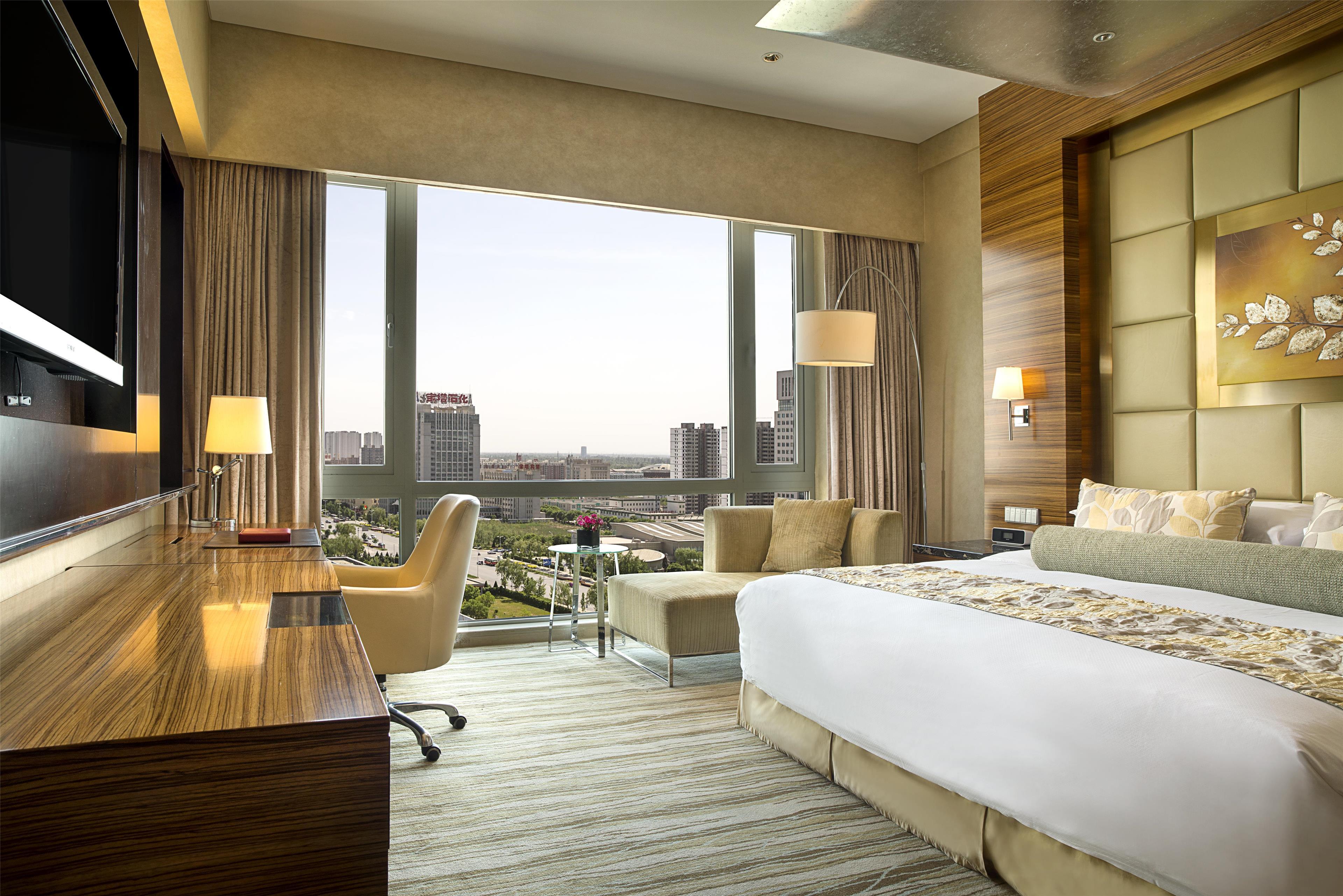 Double Executive City View