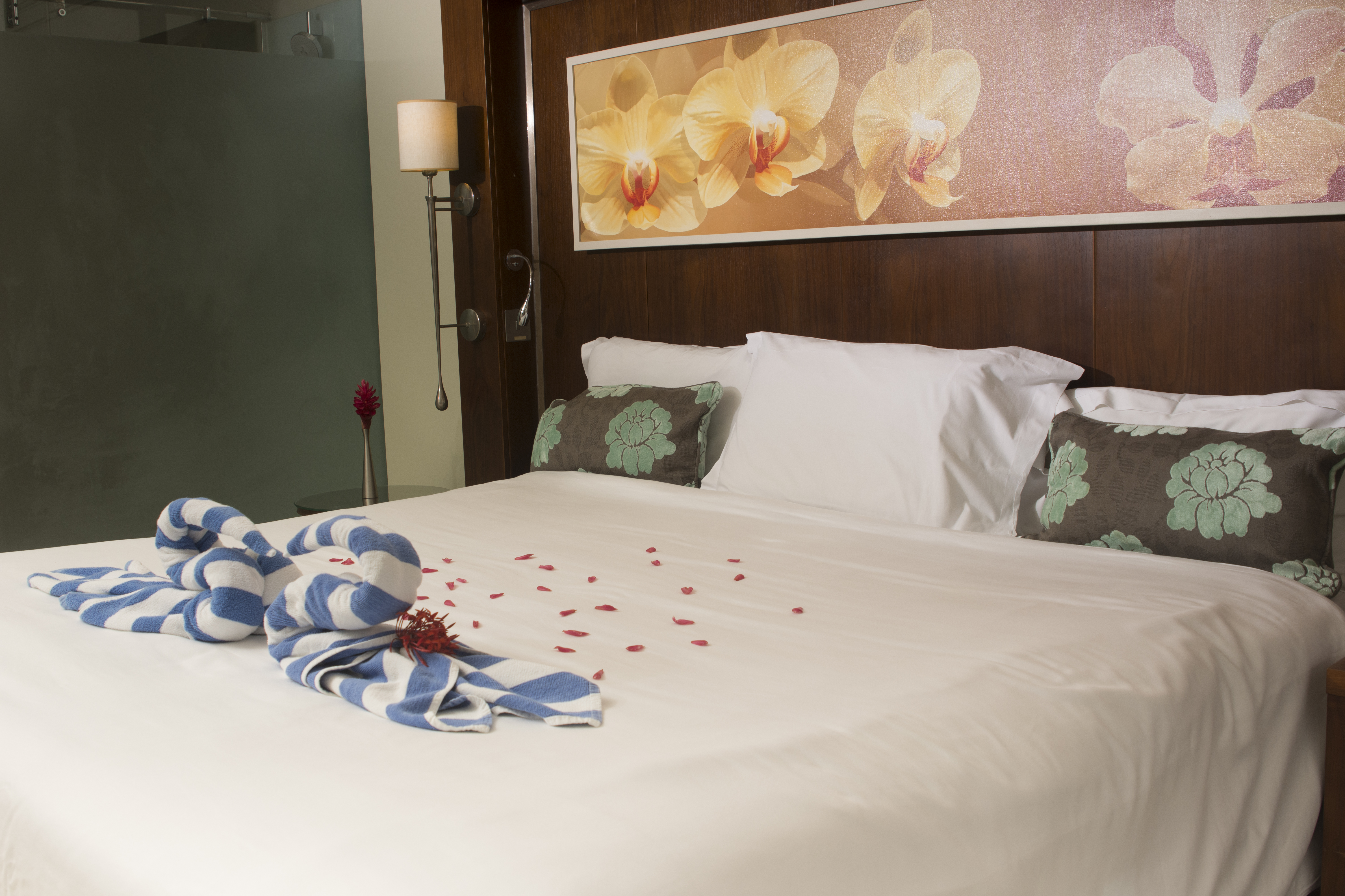 Room Partial Ocean View