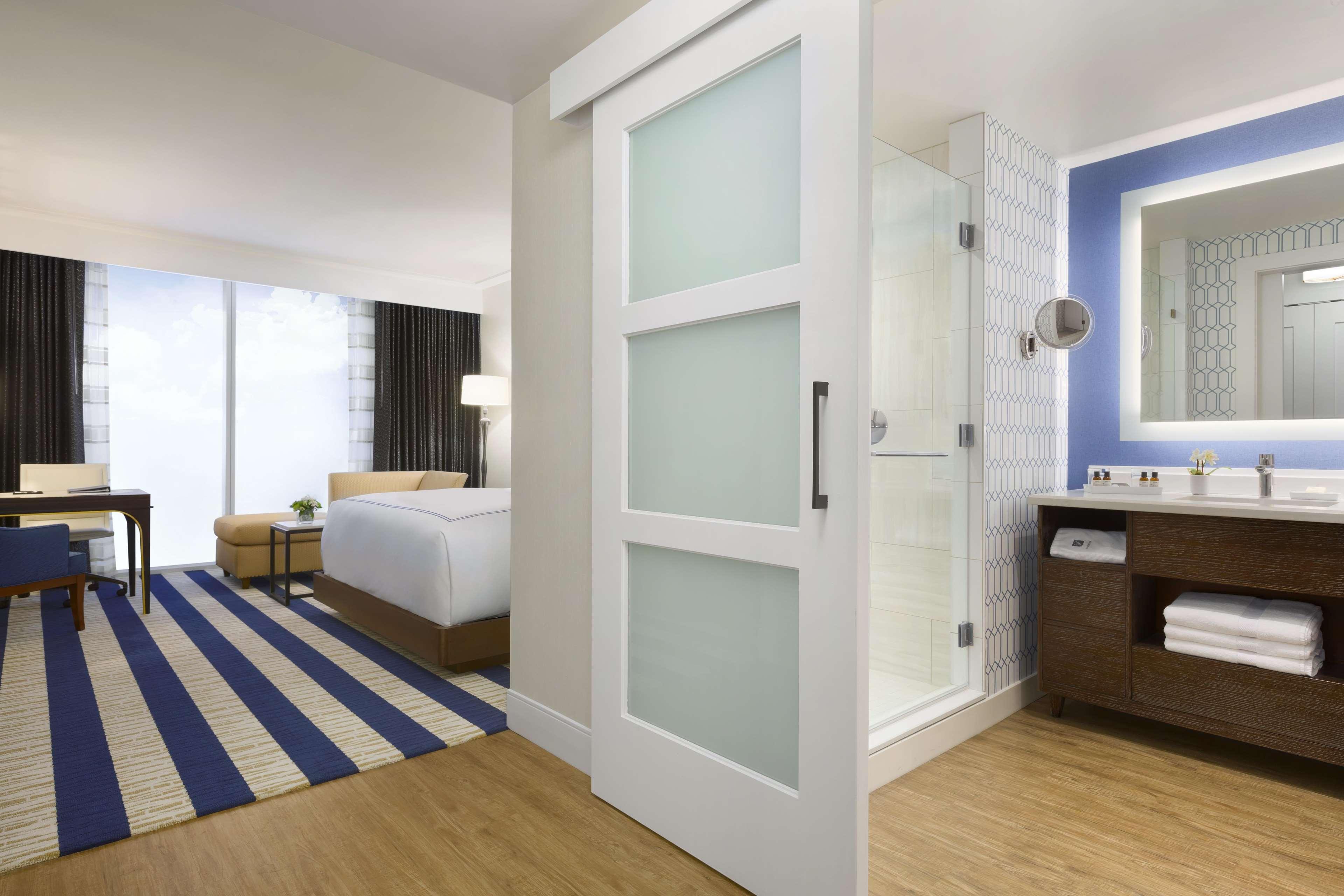 Suite King Bed One Bedroom 