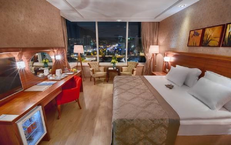 Double or Twin Standard