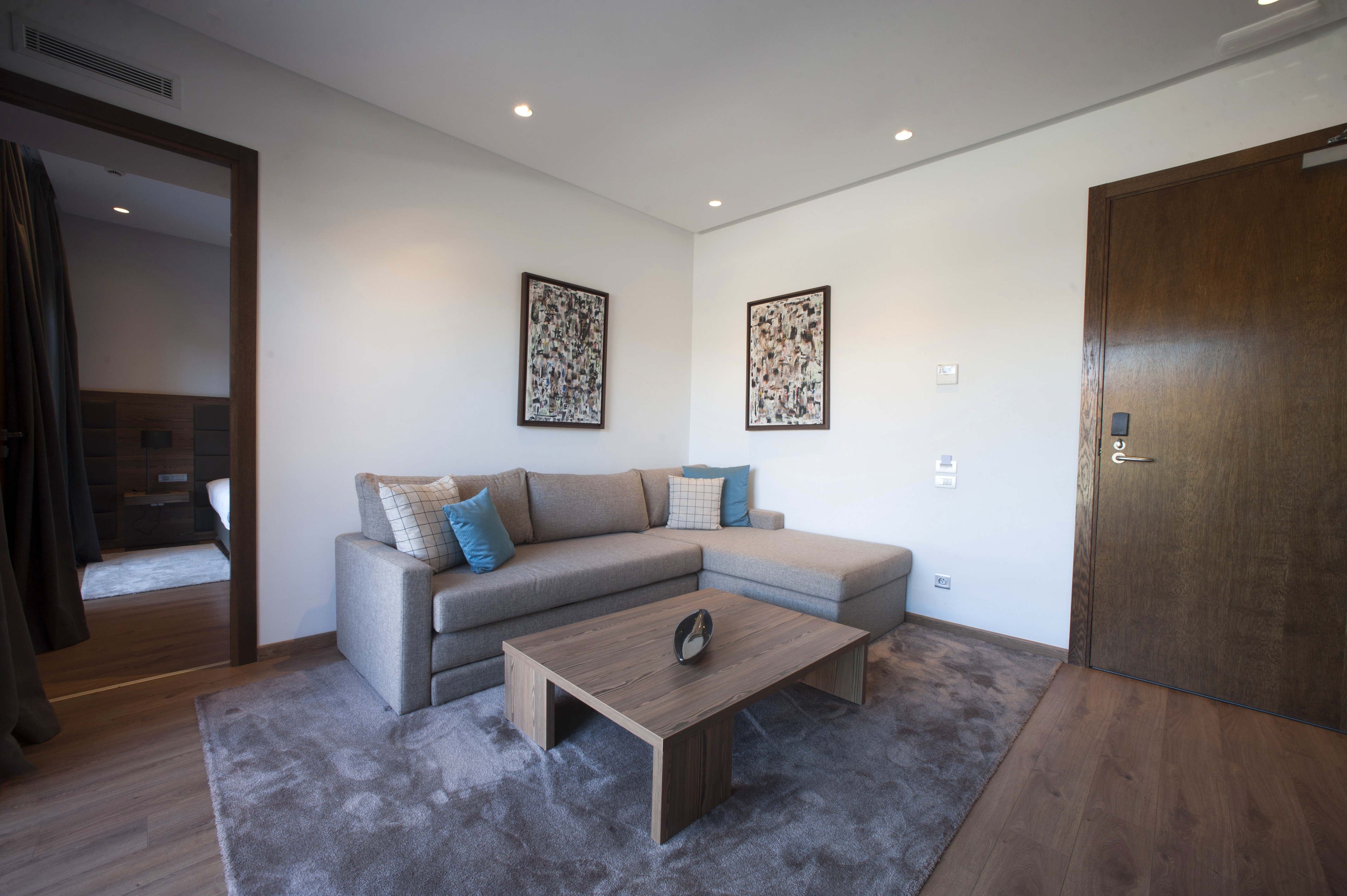 Apartment Superior One Bedroom