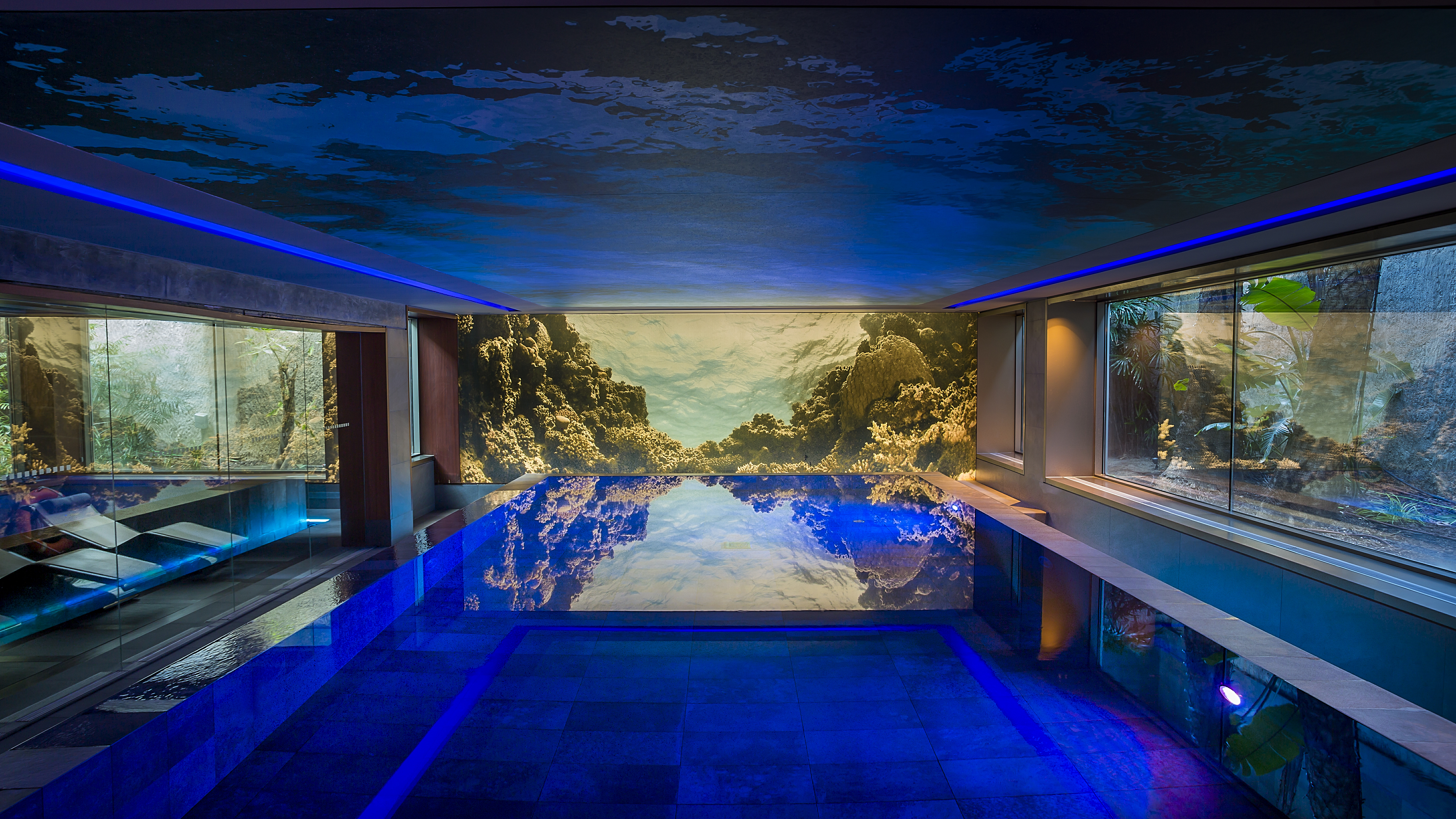 Sports and Entertainment