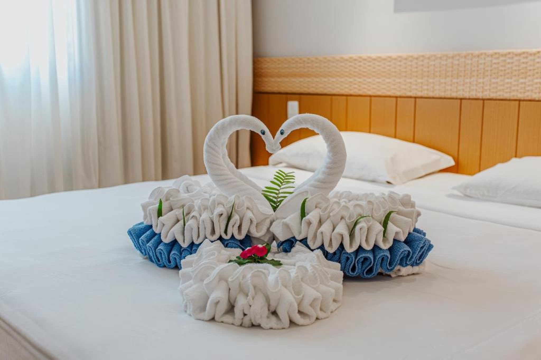 Family Room Superior