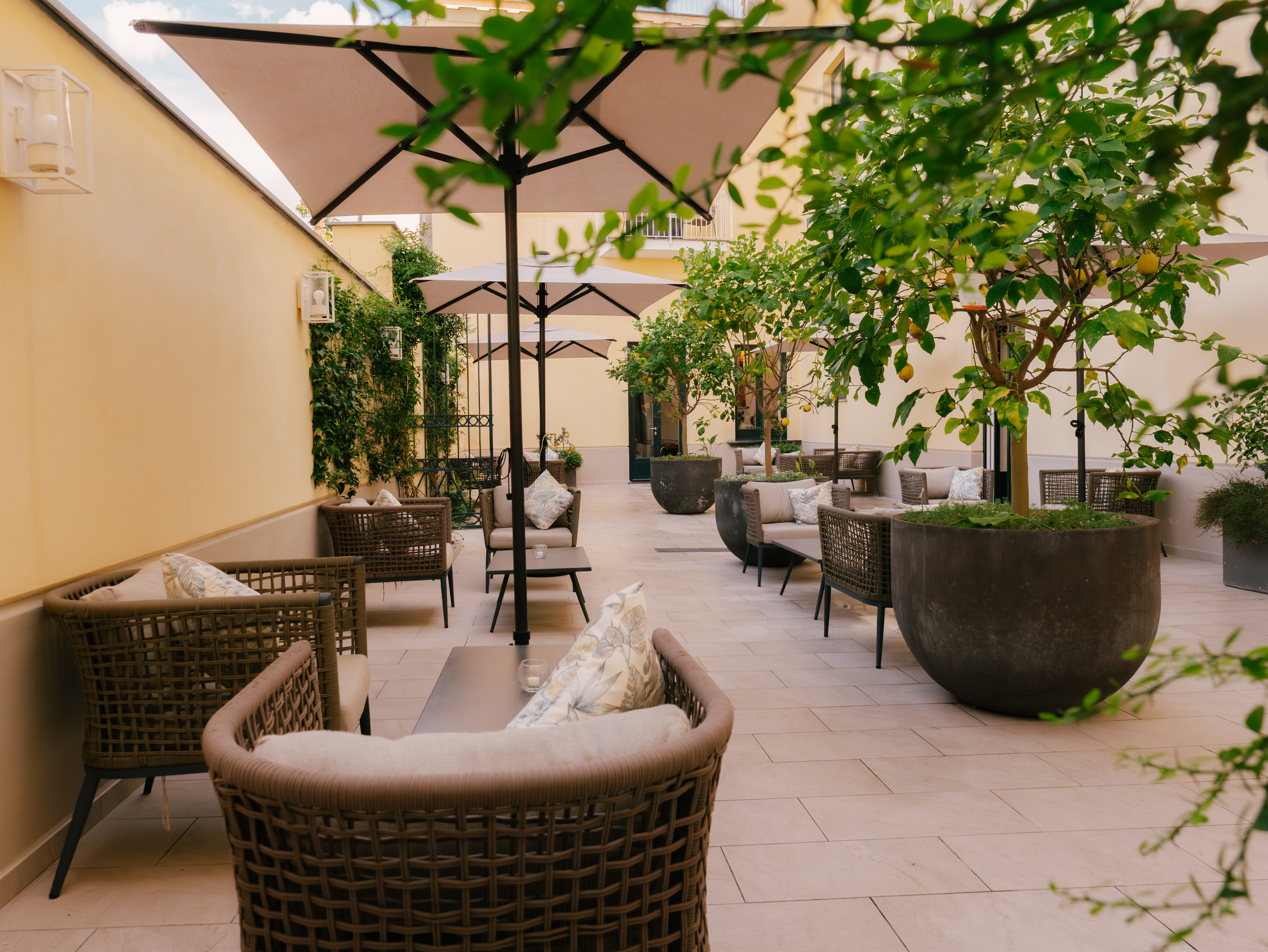Terrace