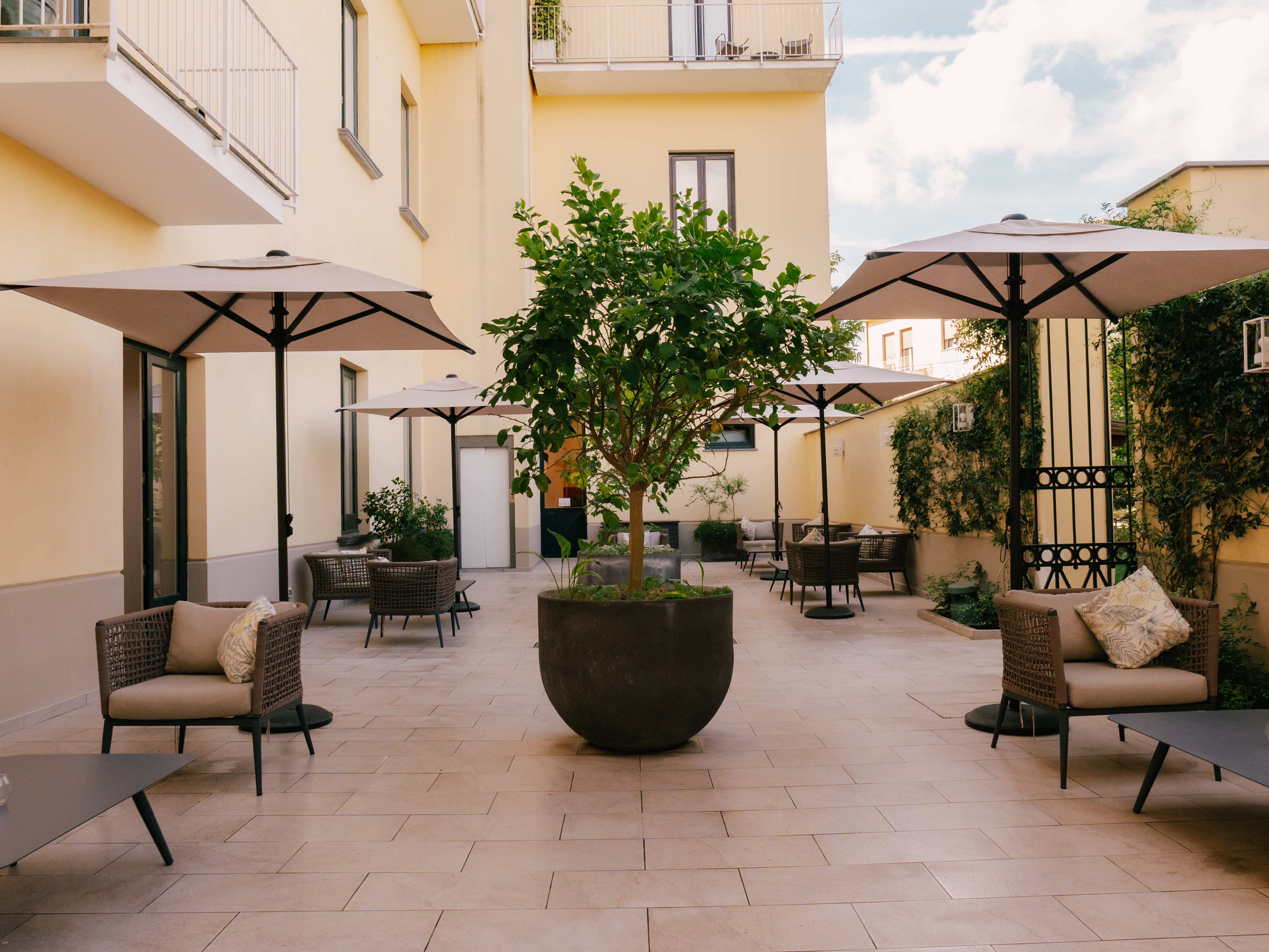 Terrace
