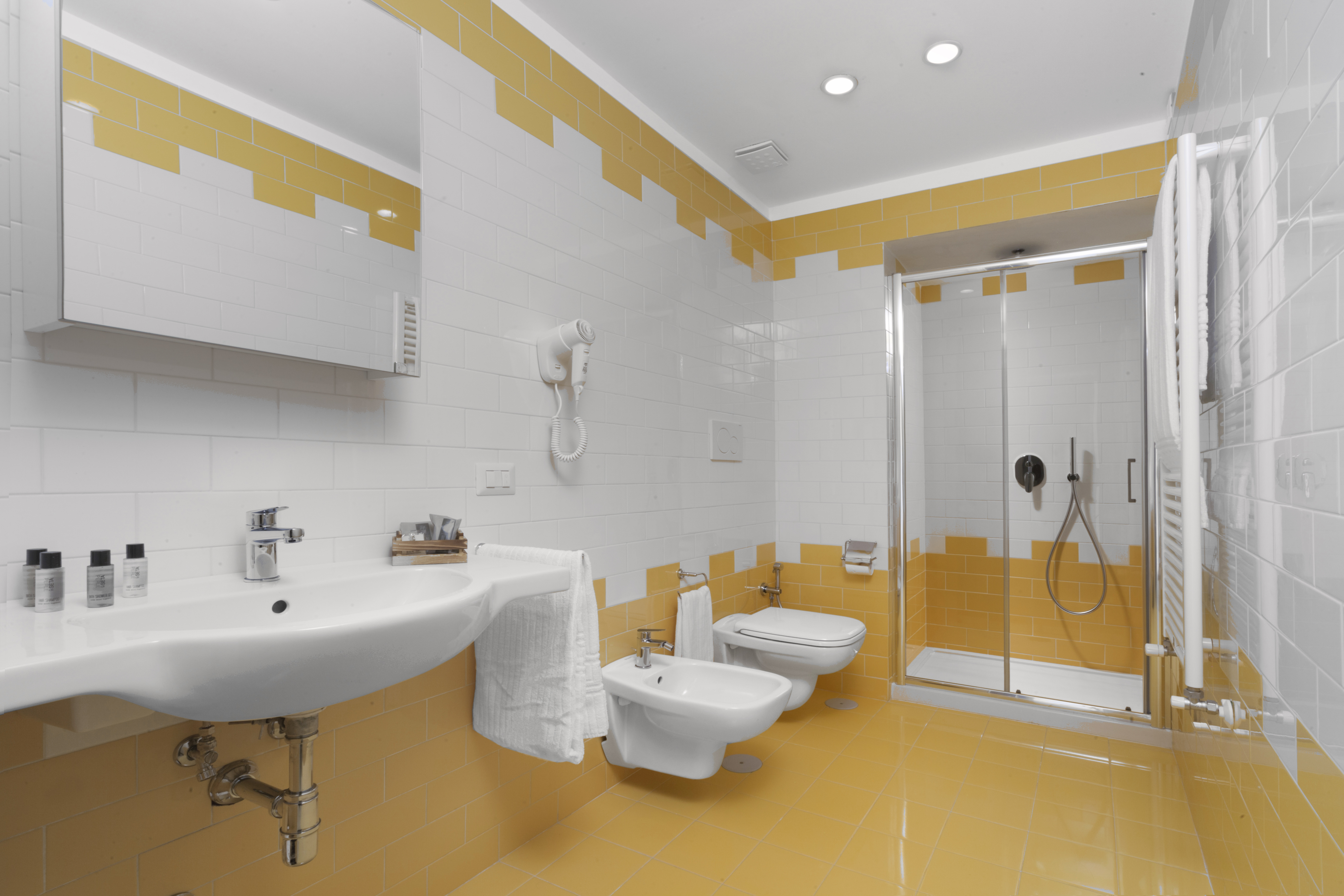 Double or Twin Superior