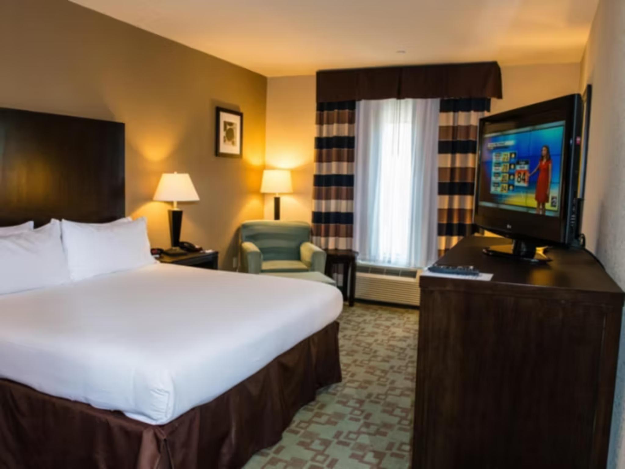 Suite Accessible King Size Bed