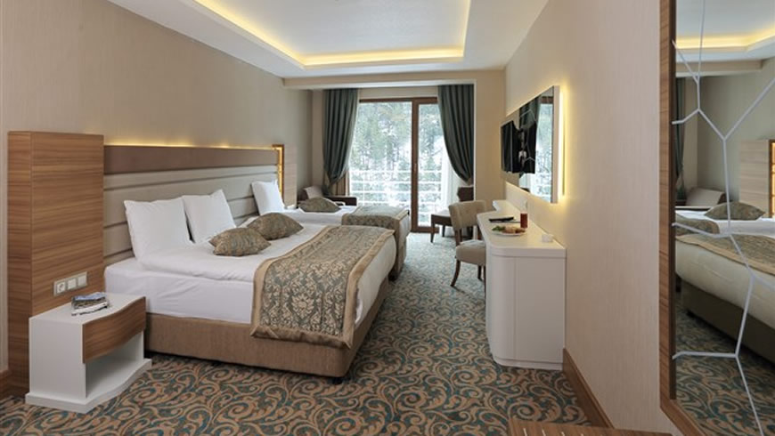 Family Room Standard