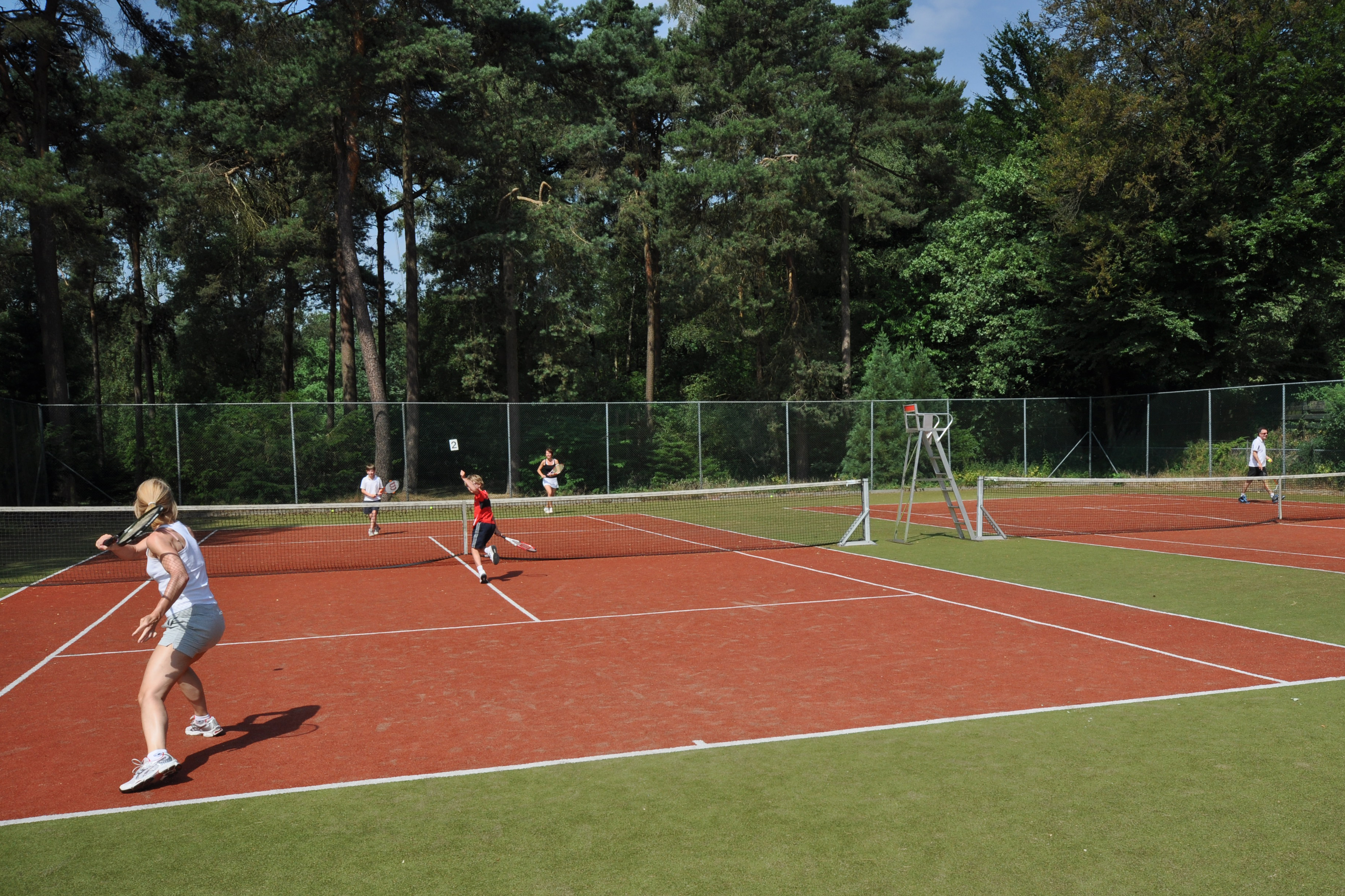 Sports and Entertainment