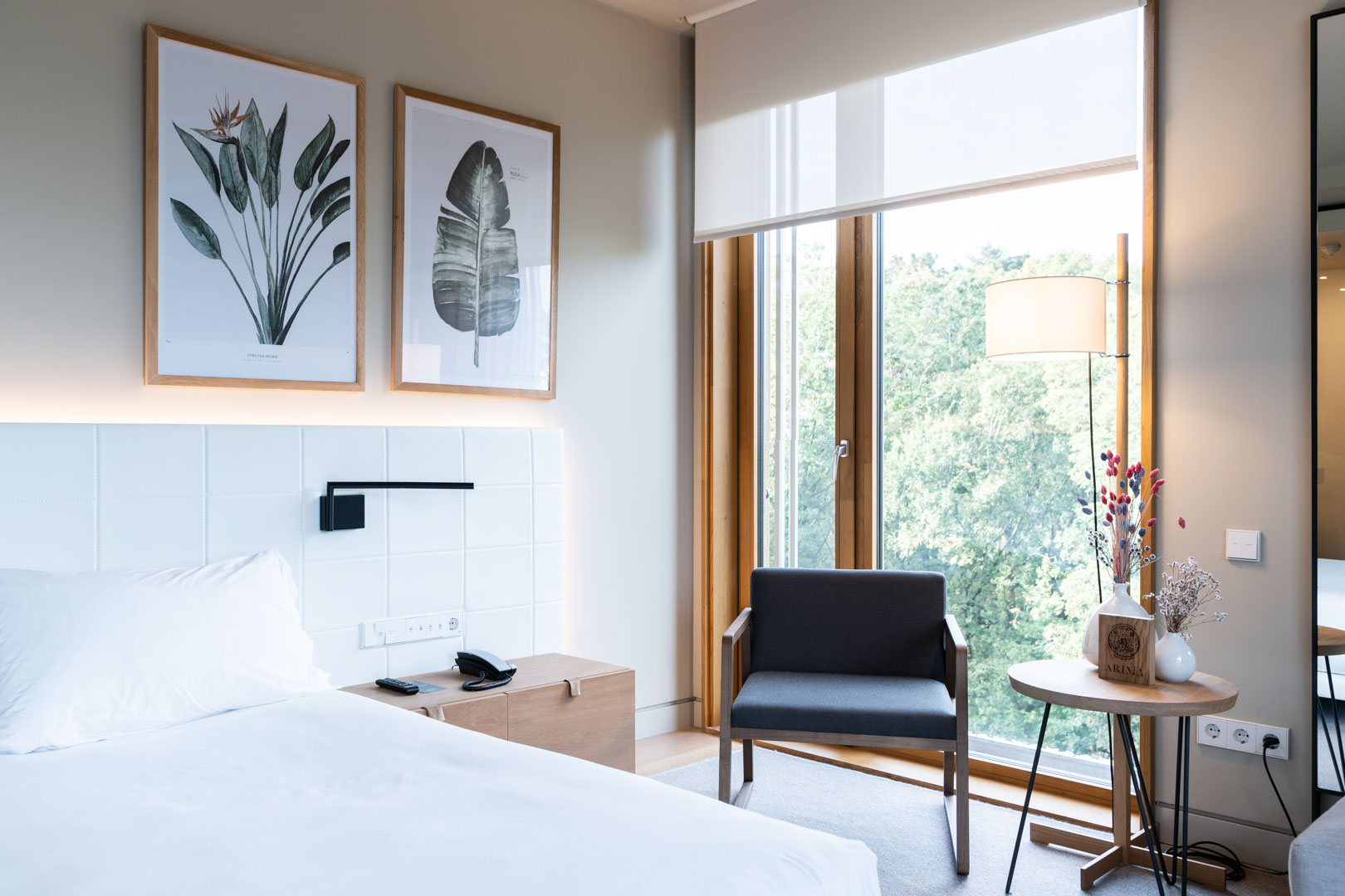 Junior Suite with Terrace