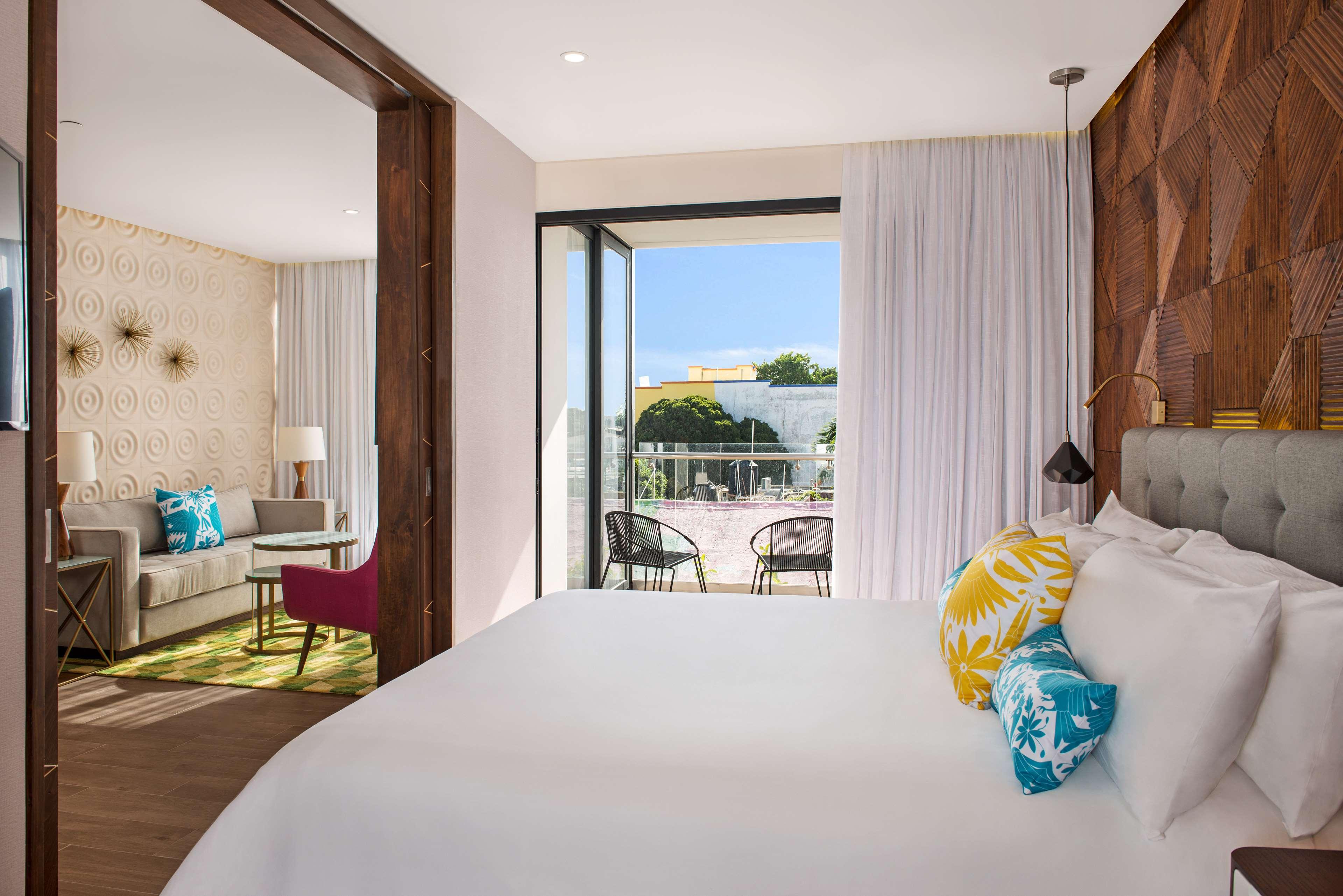 Suite King Bed One Bedroom 