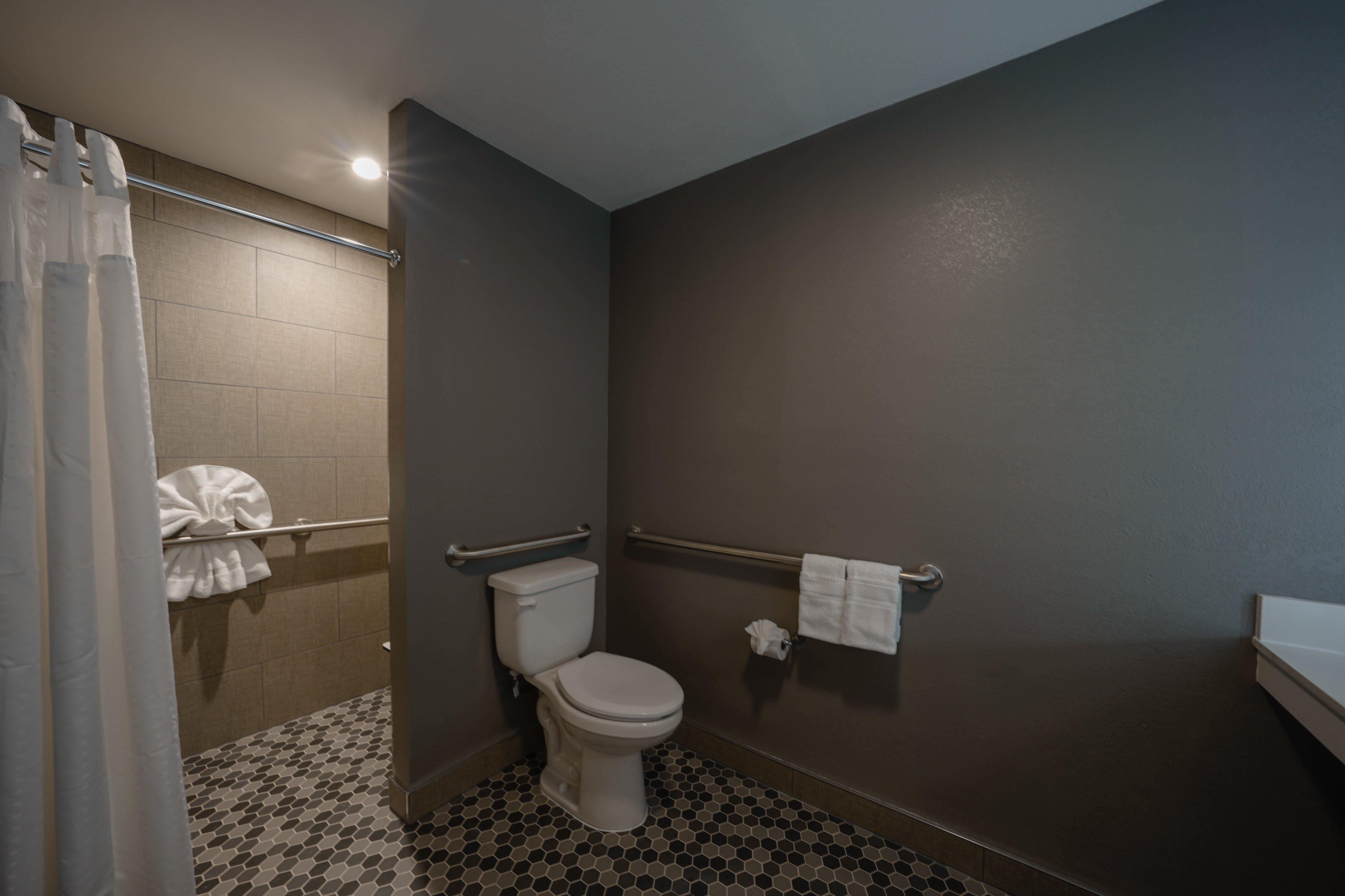 Suite Accessible-queen Size Bed