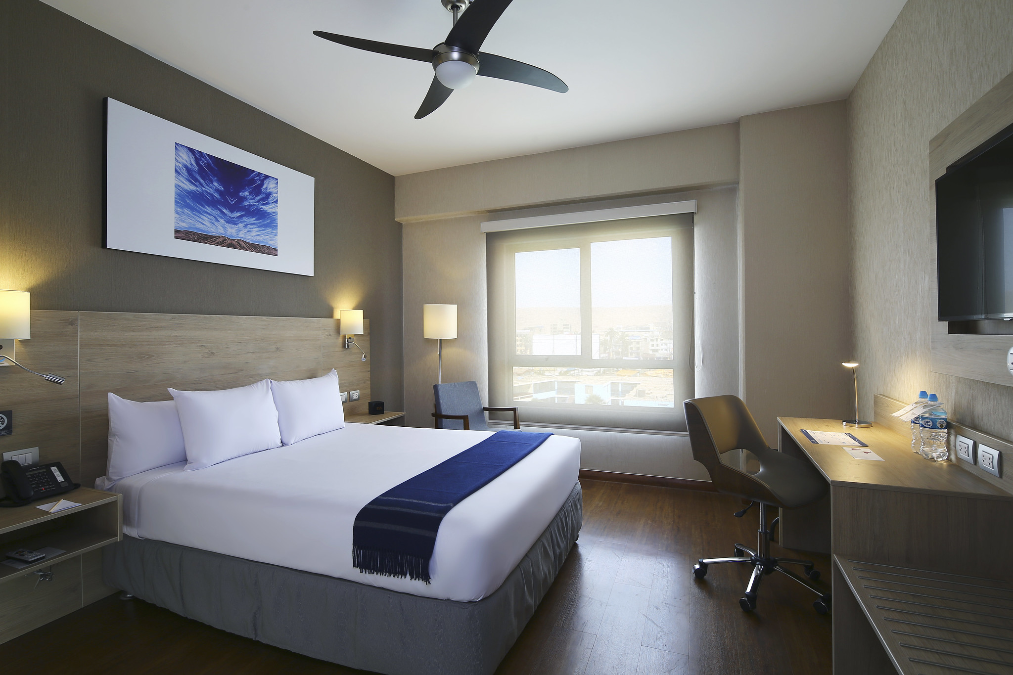 Single Superior Queen Bed