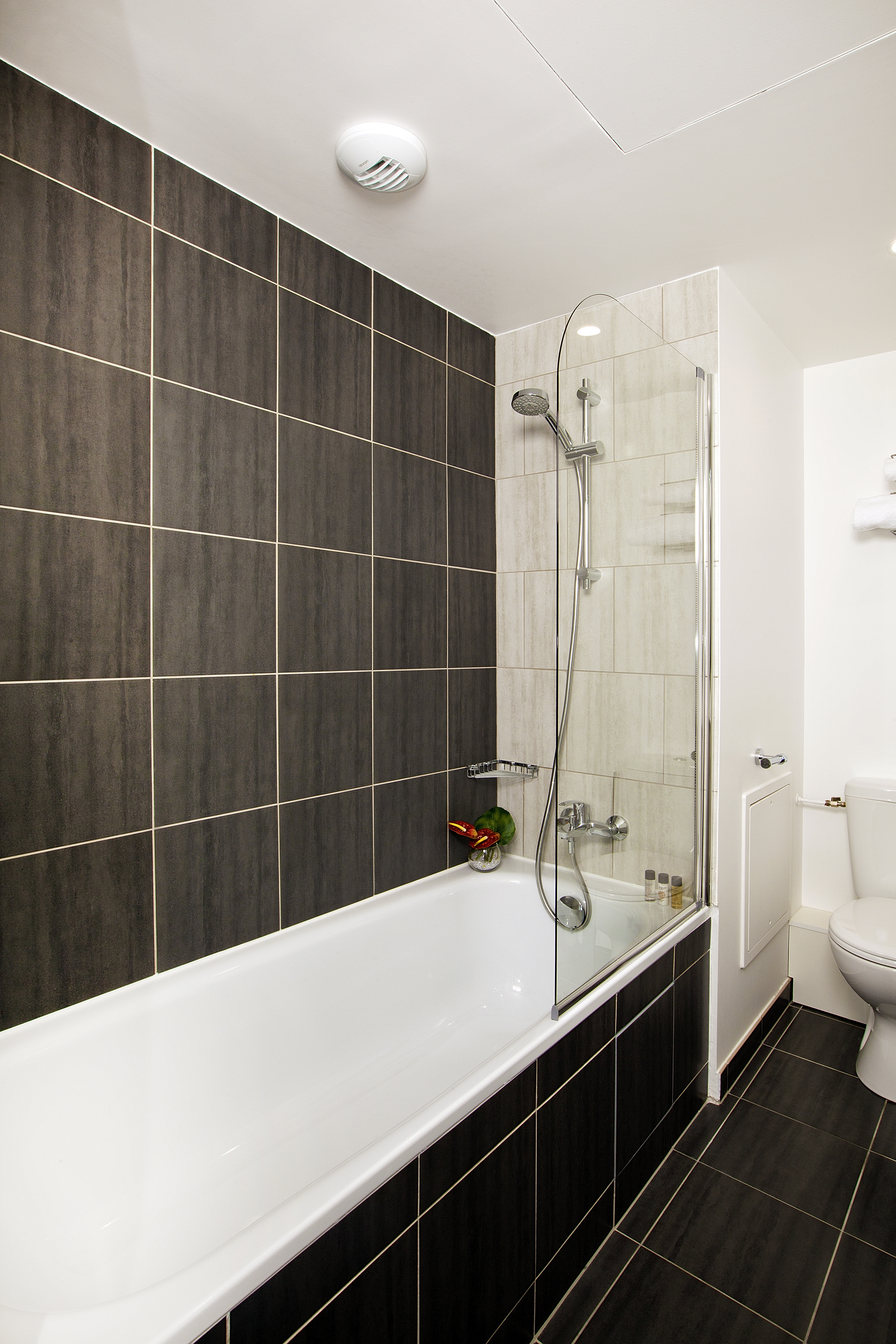 Apartment One Bedroom