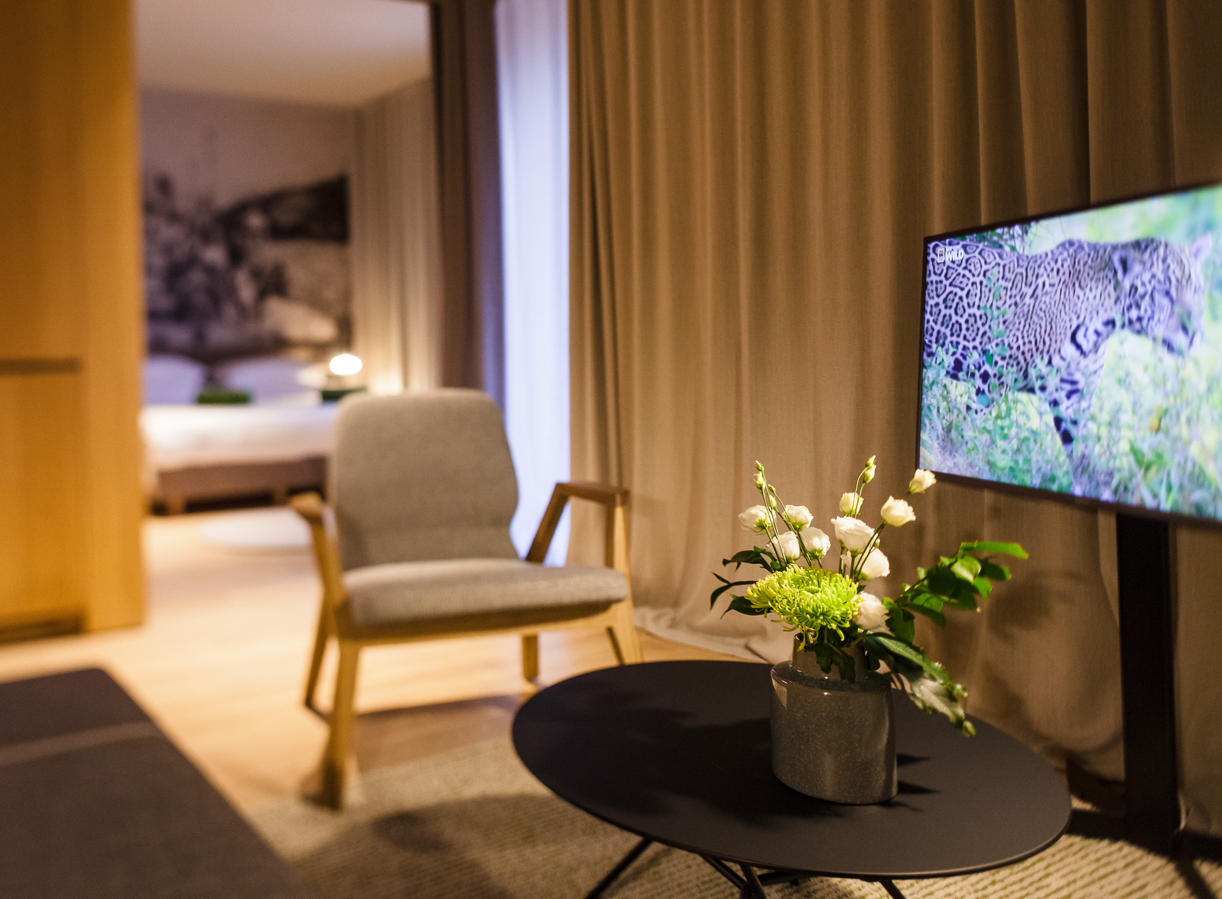 Apartment One Bedroom