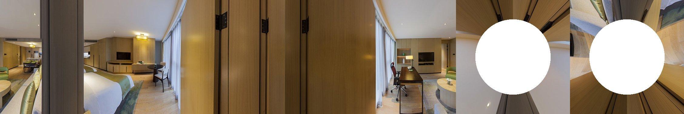 Suite King Bed One Bedroom 