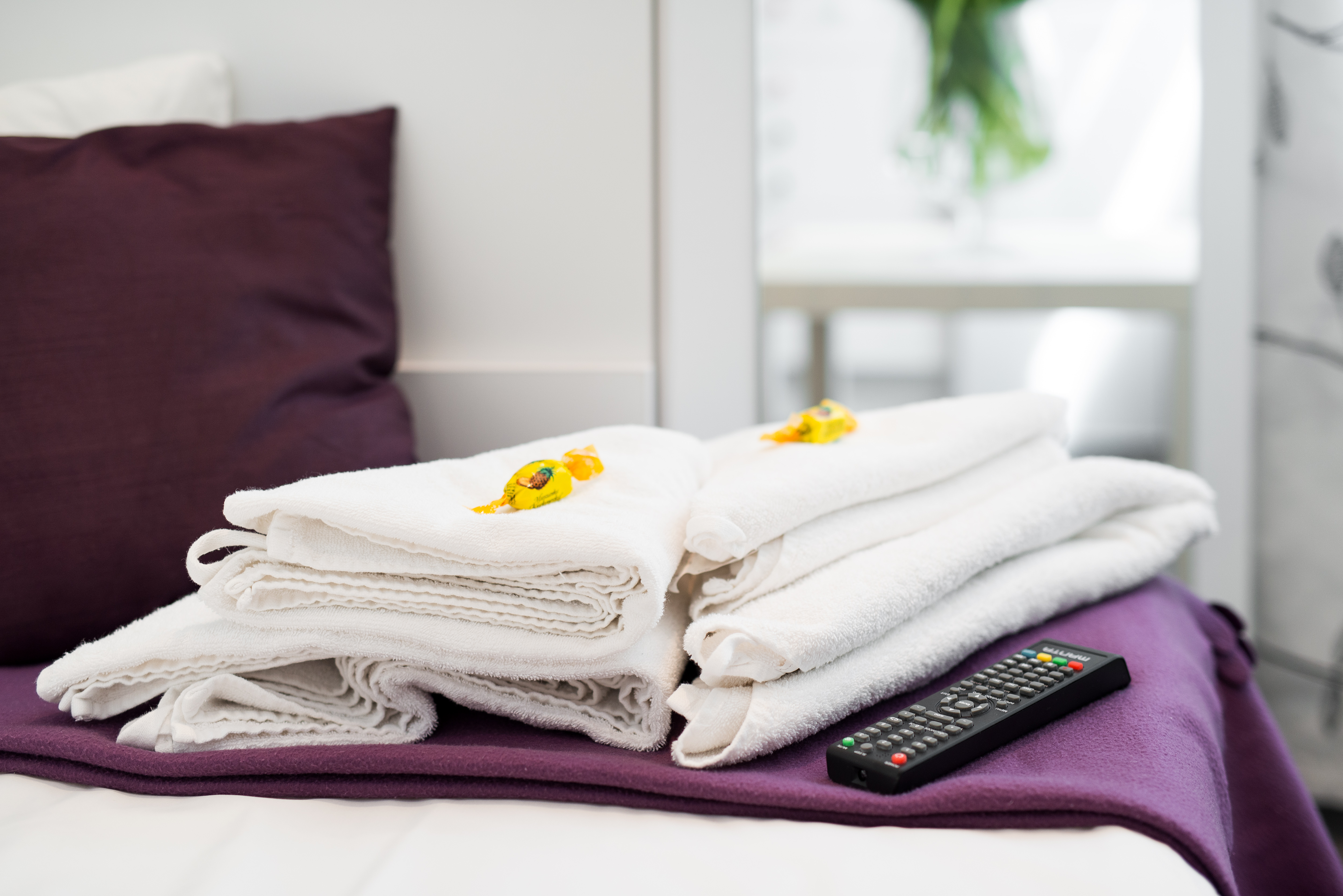 Apartment Capacity 2