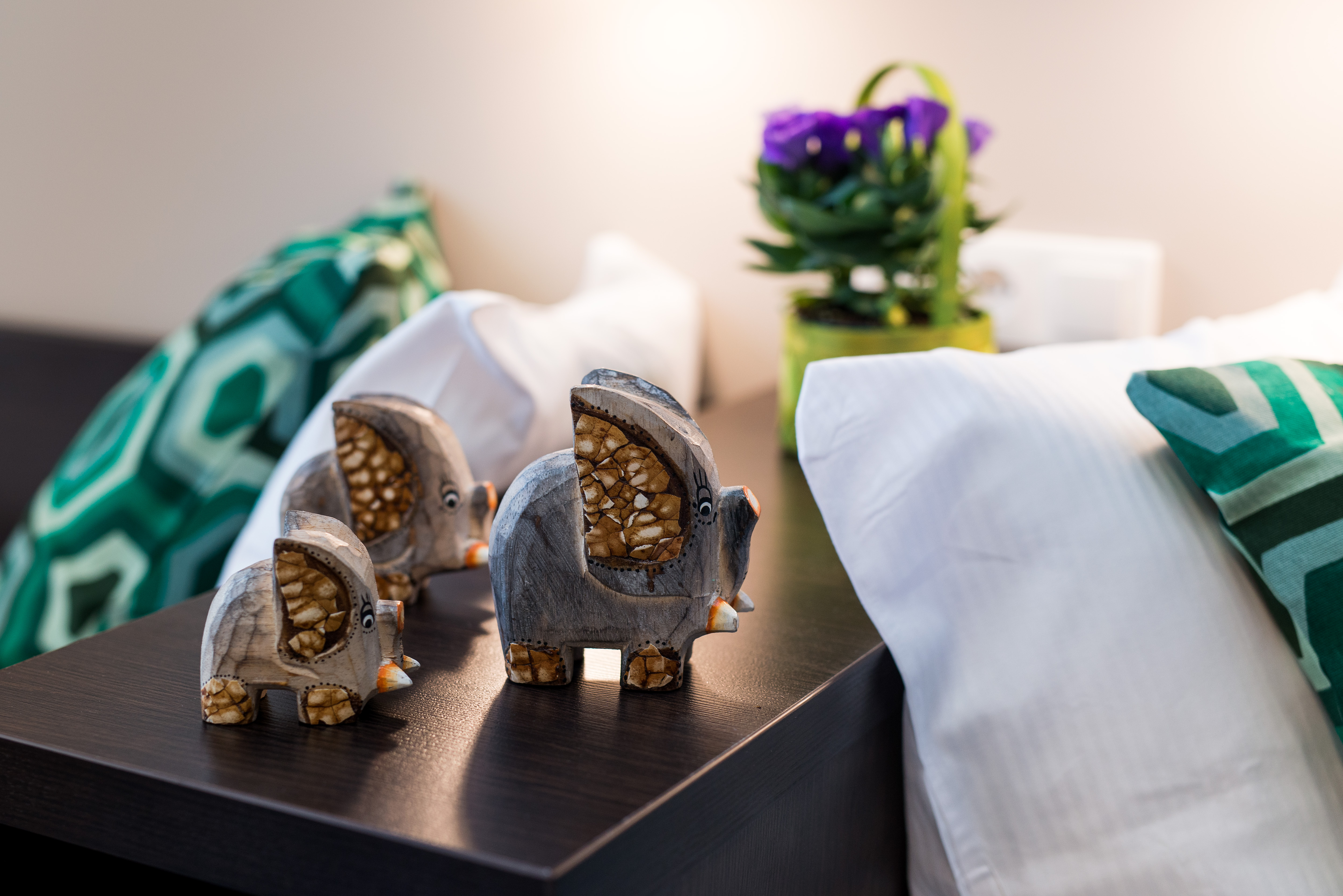 Apartment Capacity 4