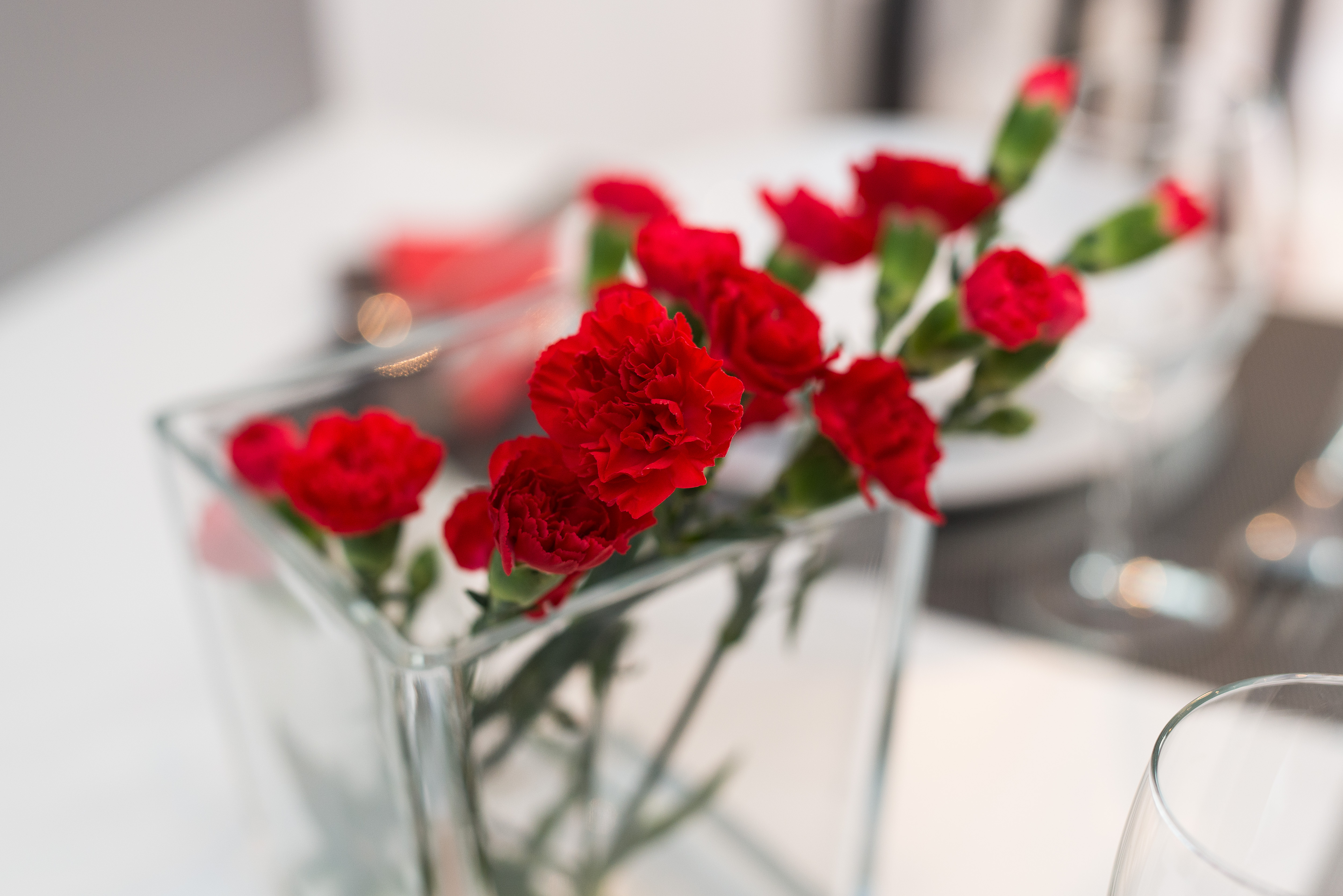 Apartment Capacity 3