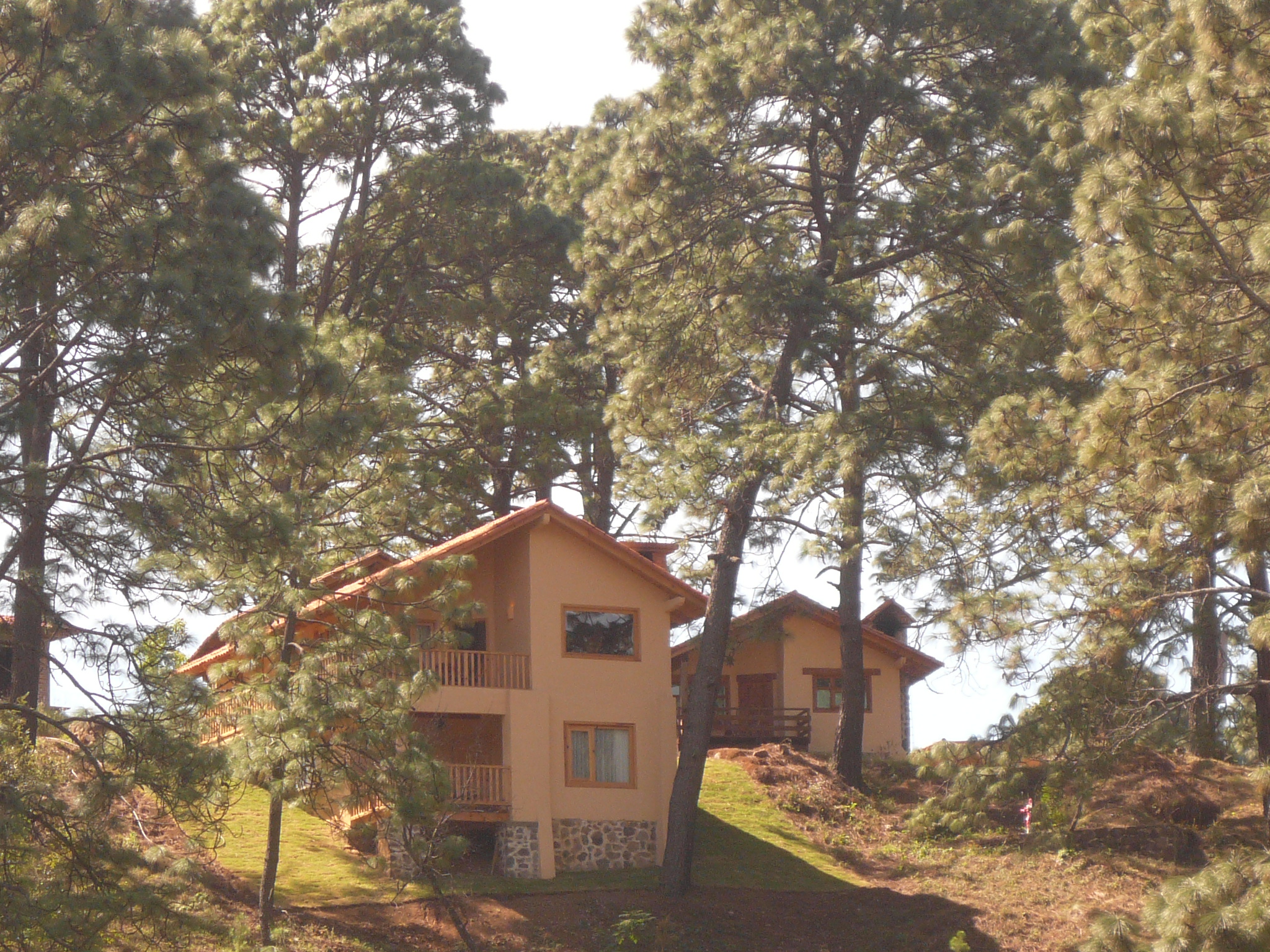 Apartment Capacity 8