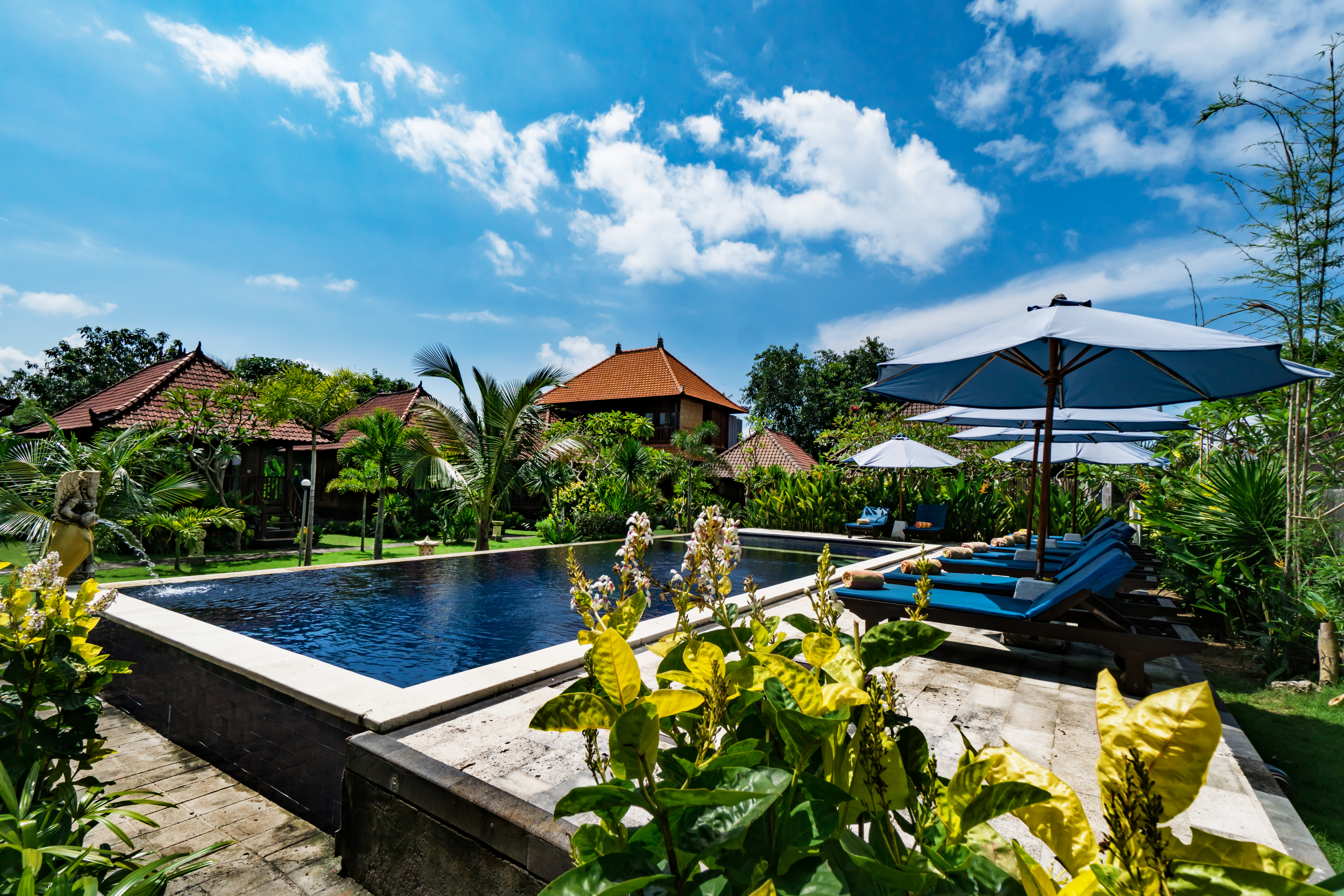 Villa Pool View