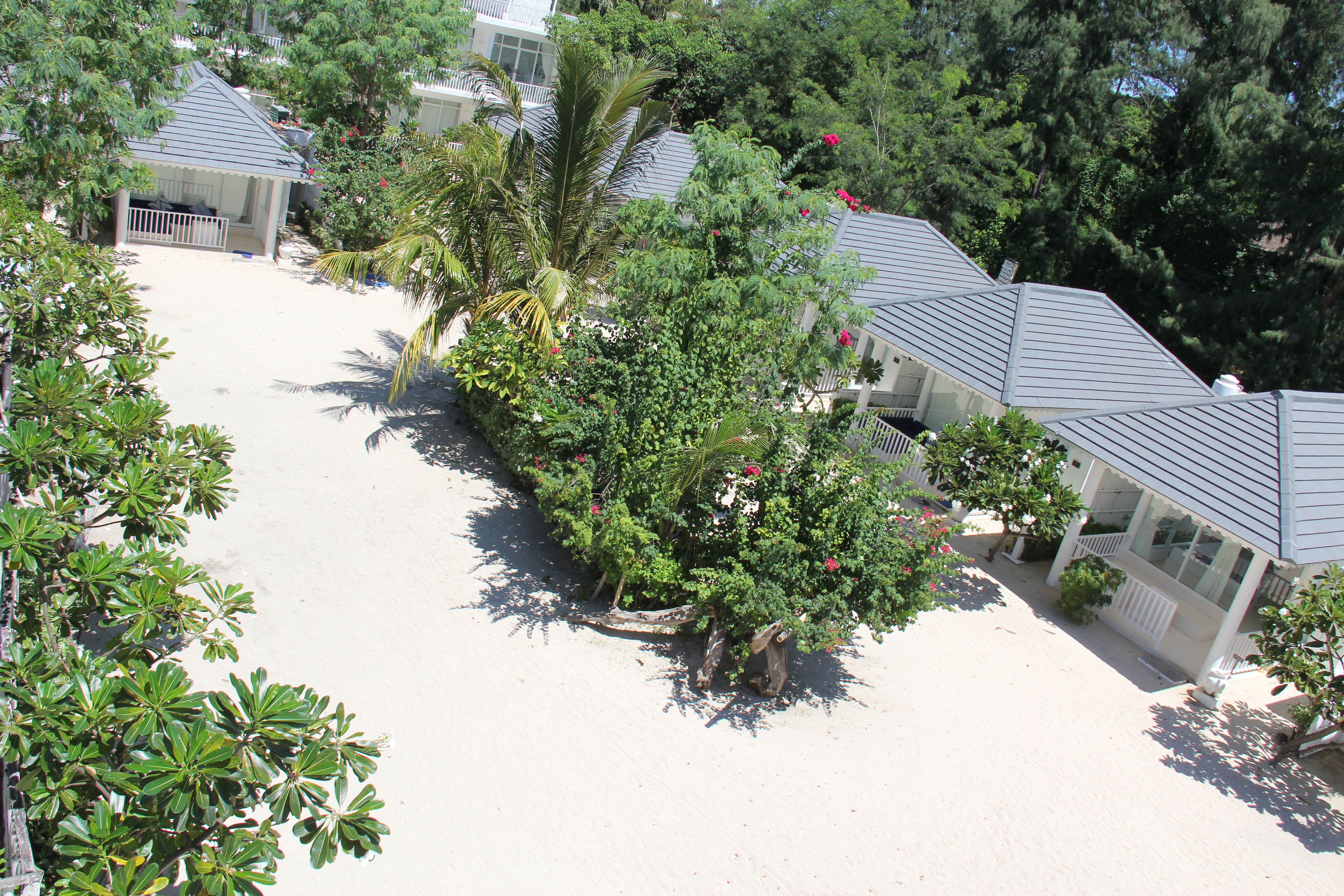 Bungalow Garden View