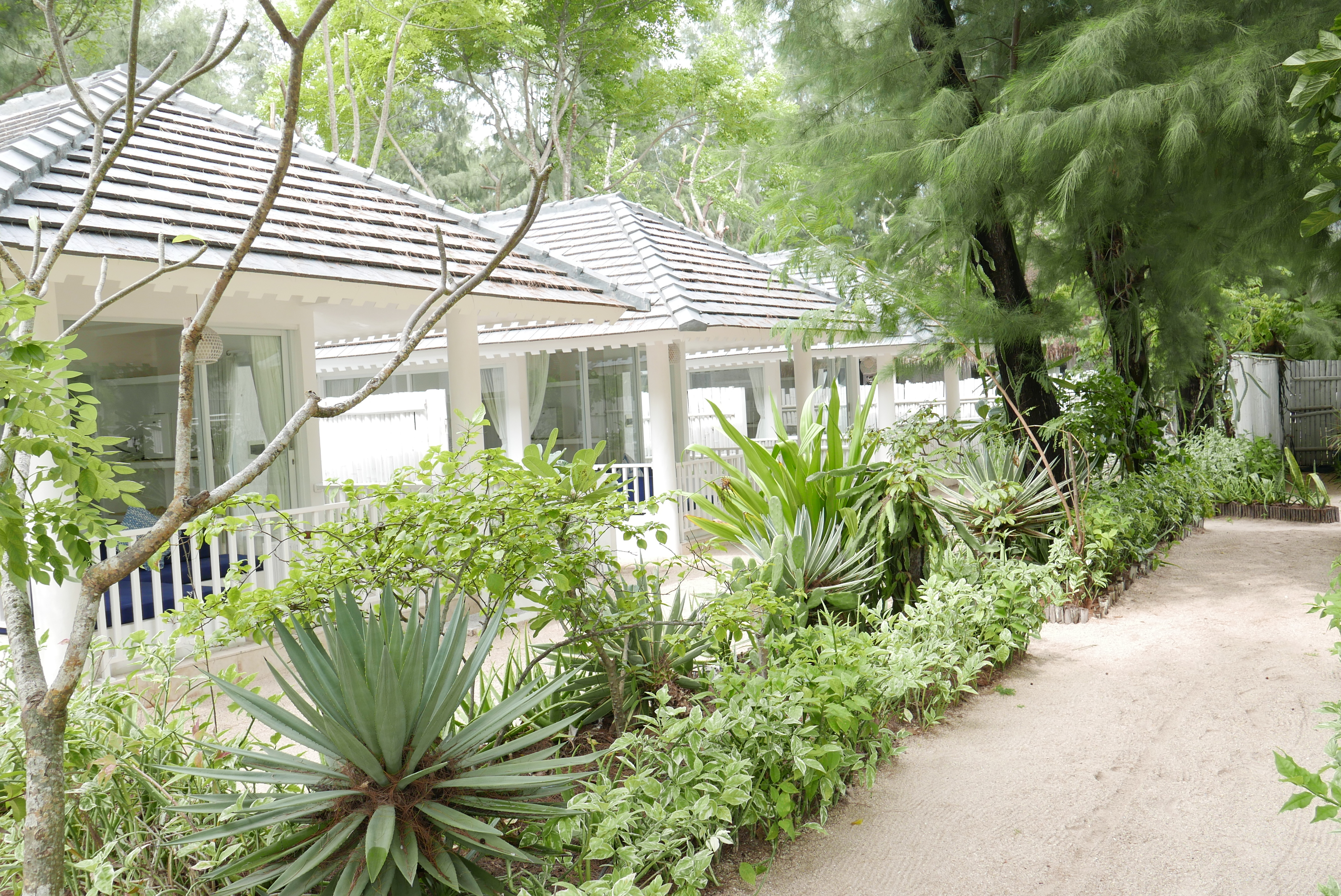 Bungalow Garden View