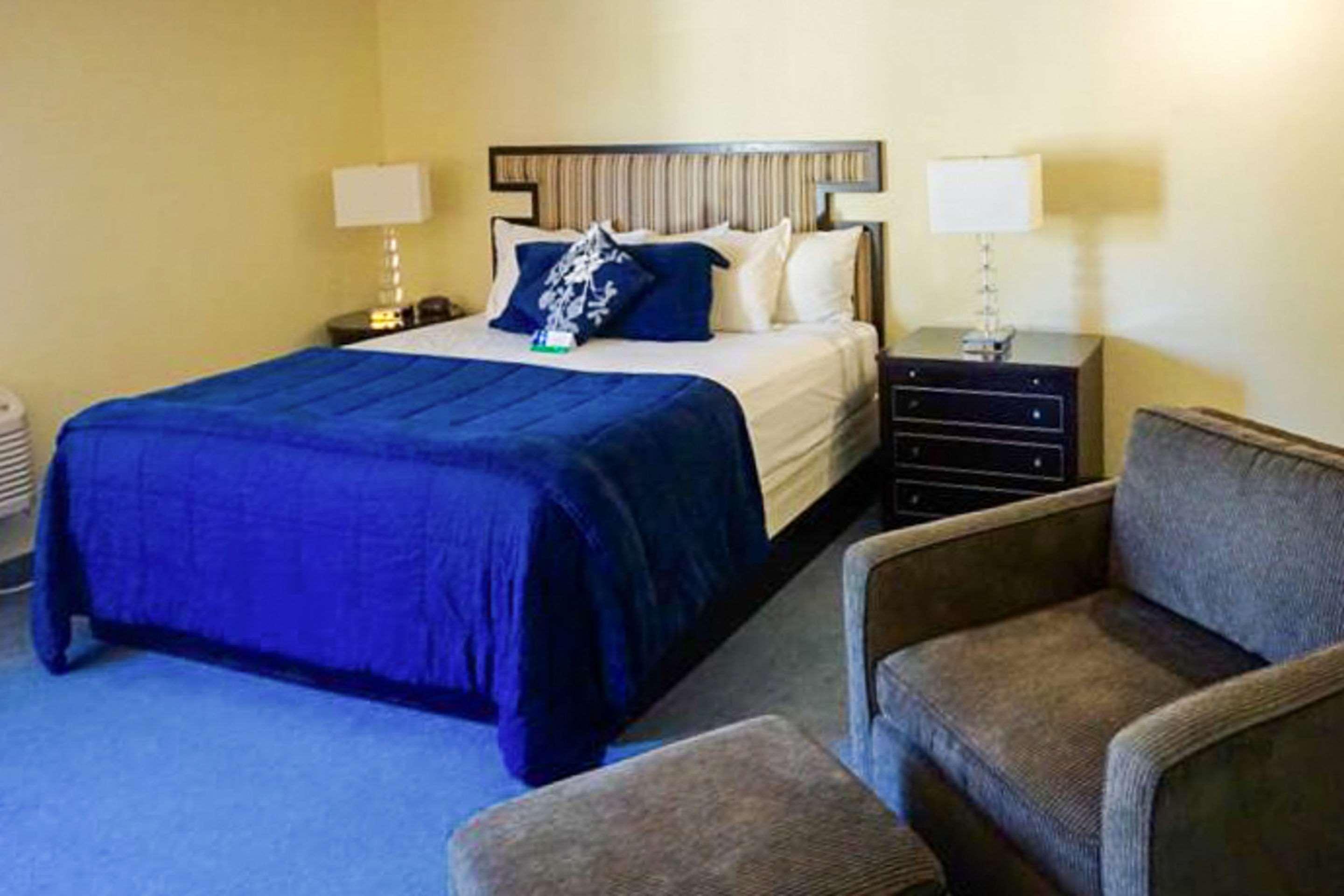 Suite King Bed Non Smoking