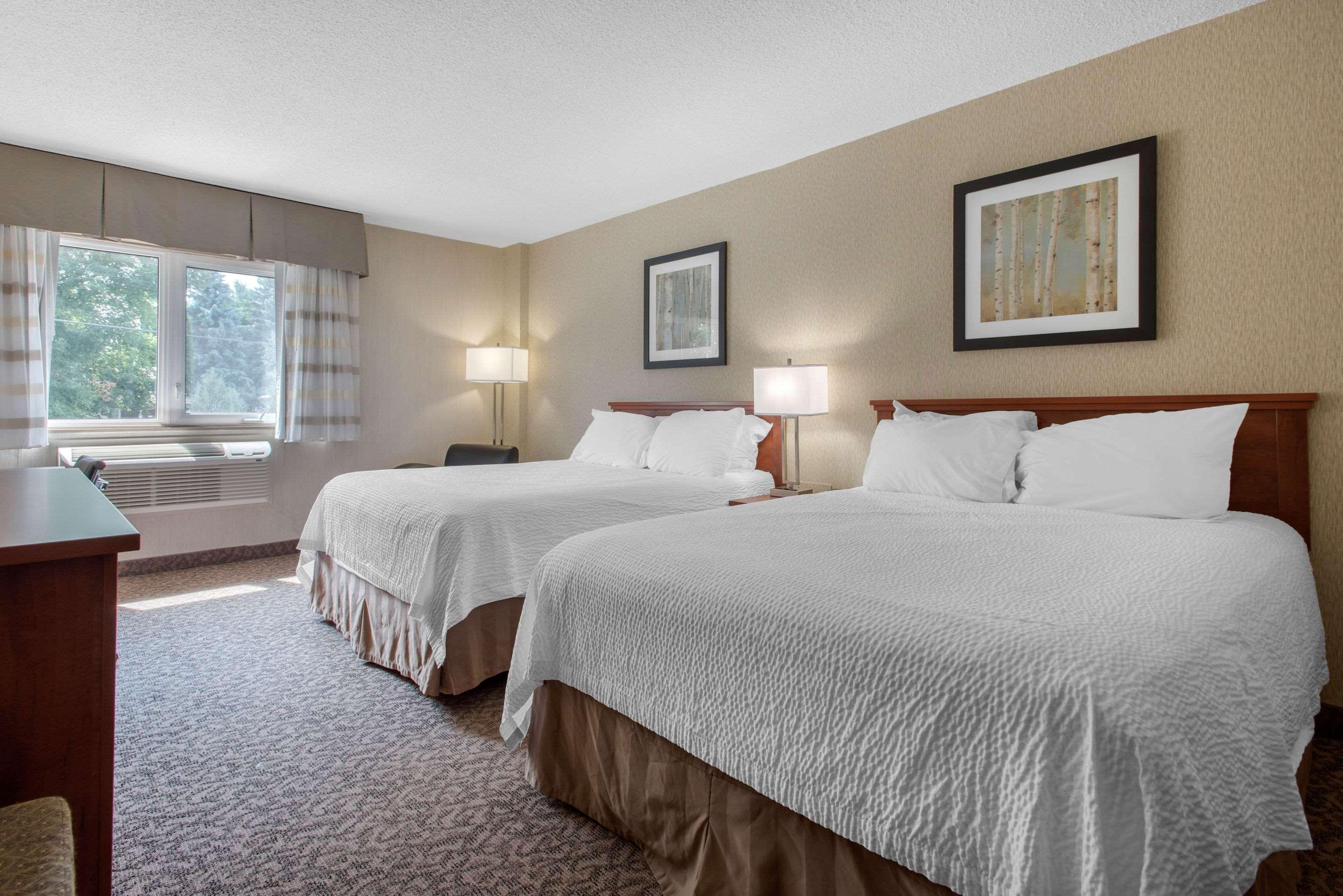 Double Two Queen Beds