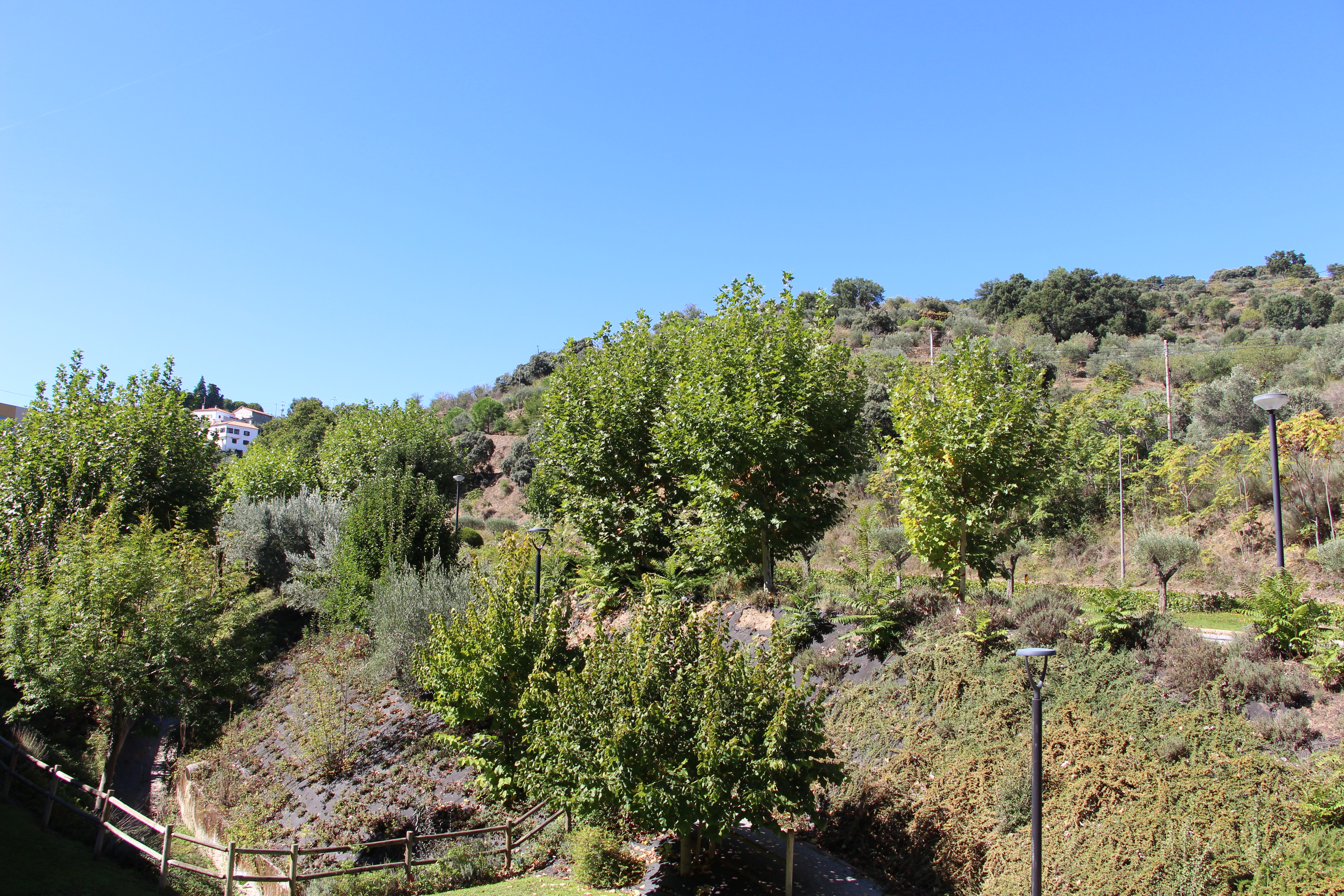 Double or Twin Deluxe