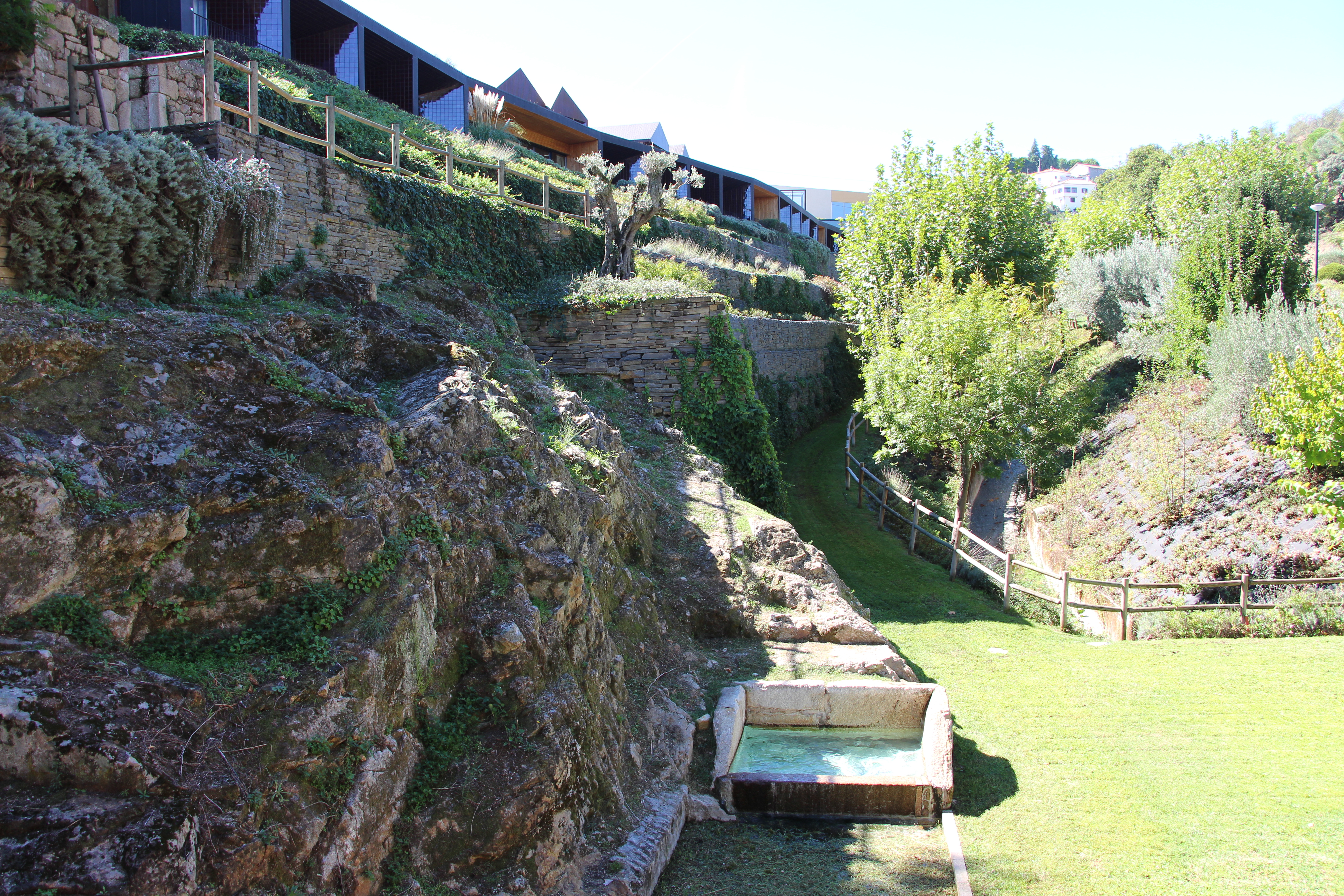 Double or Twin Deluxe