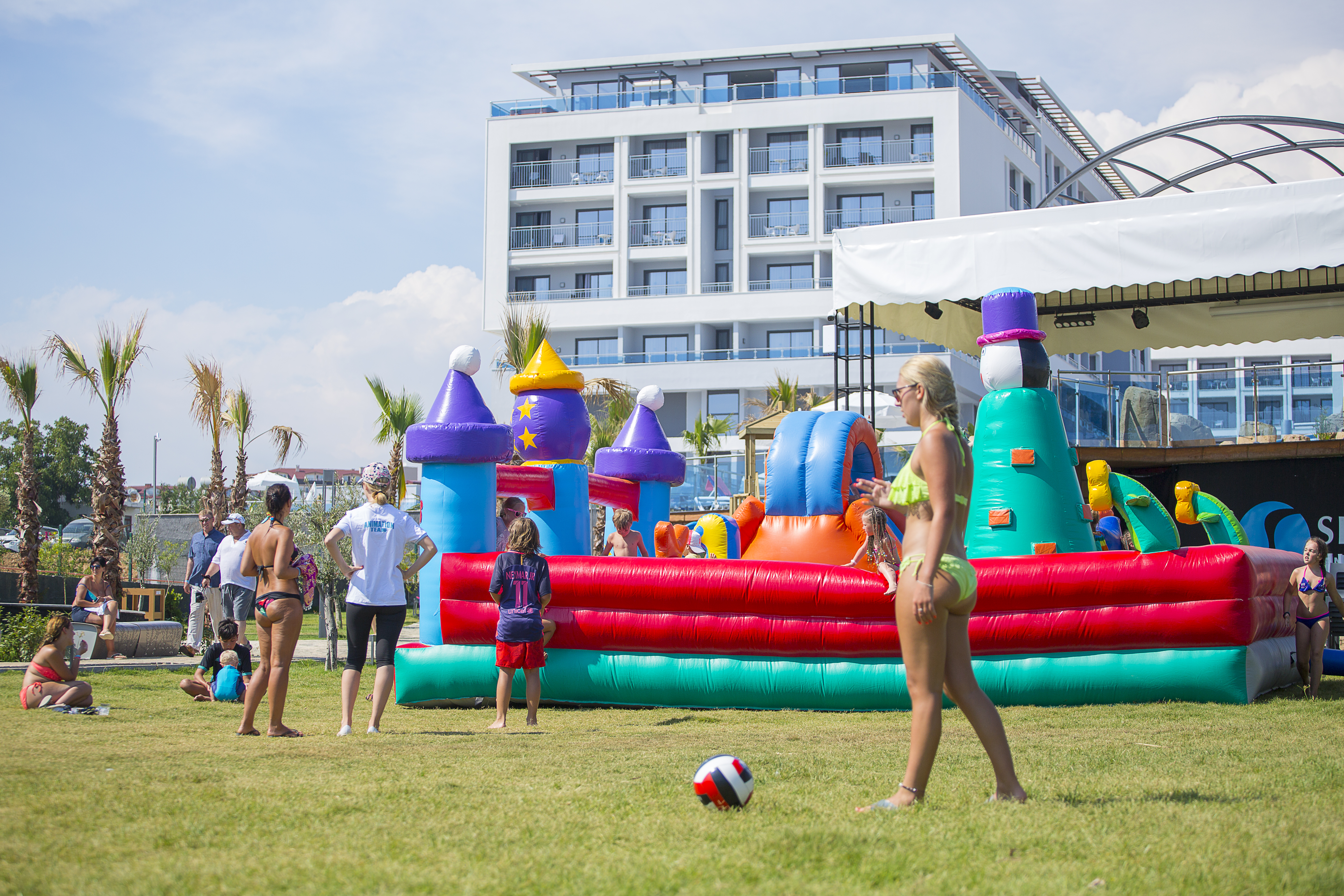 Sports and Entertainment