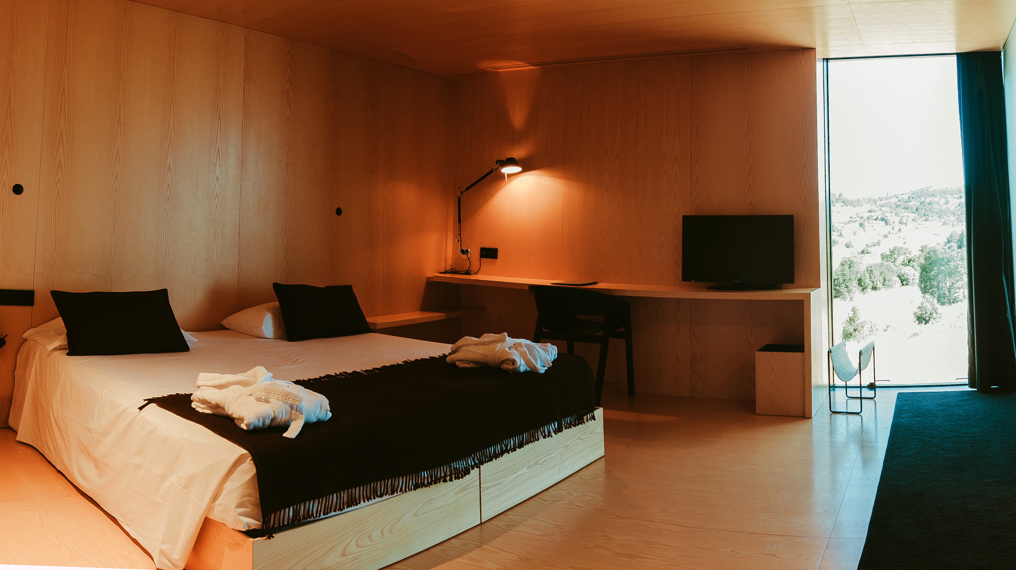 Double or Twin Superior