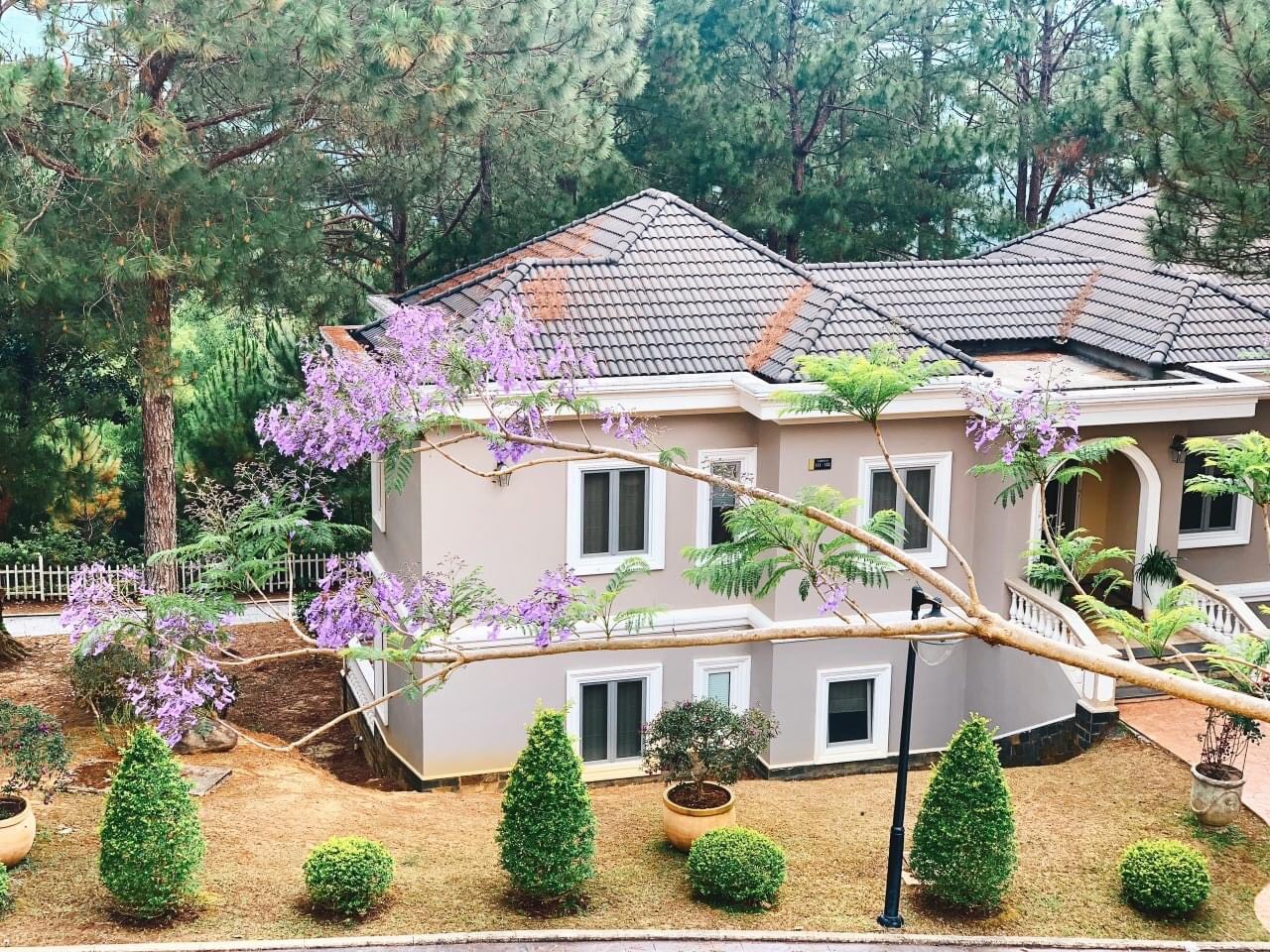 Junior Suite Garden View