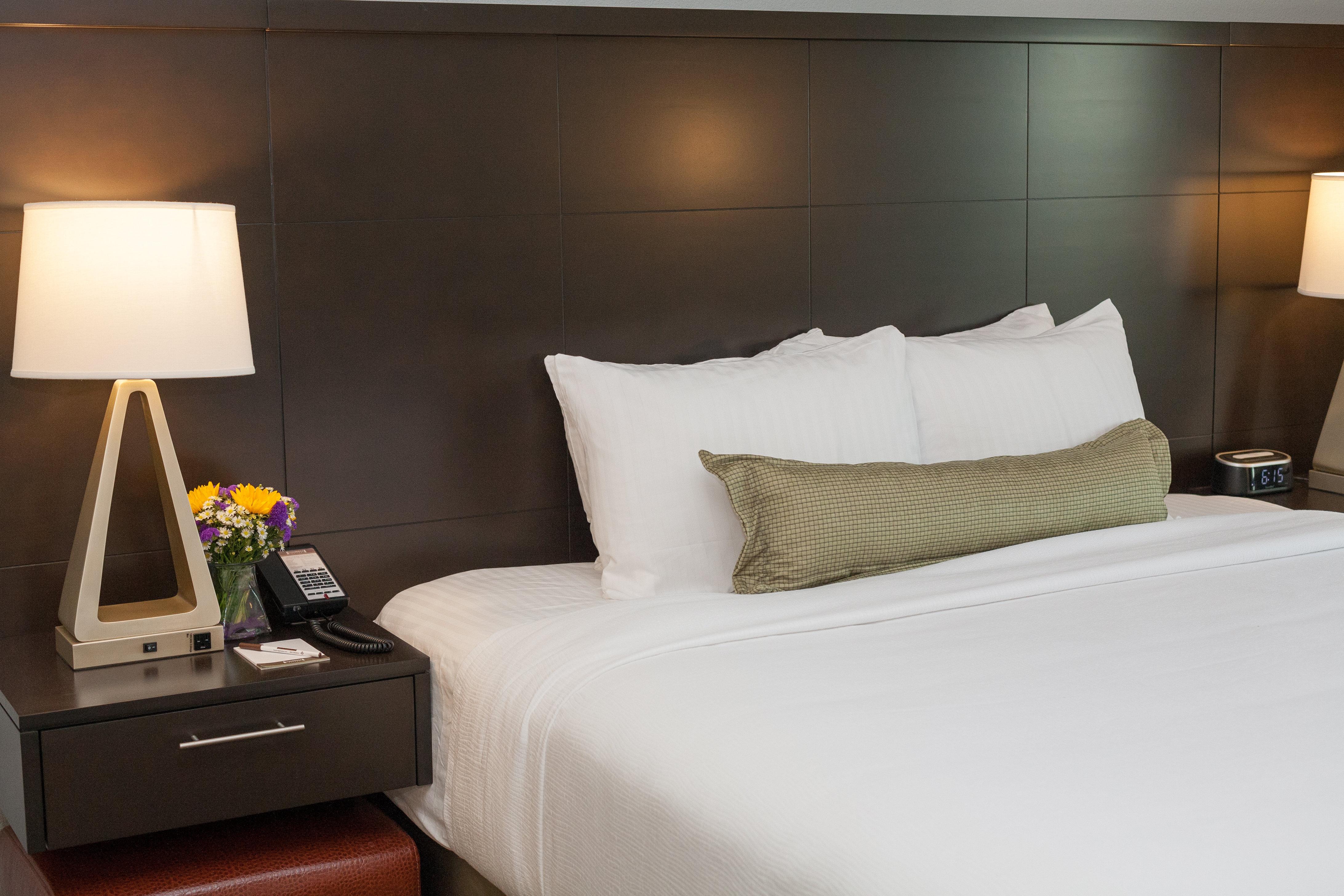 Suite Accessible King Size Bed