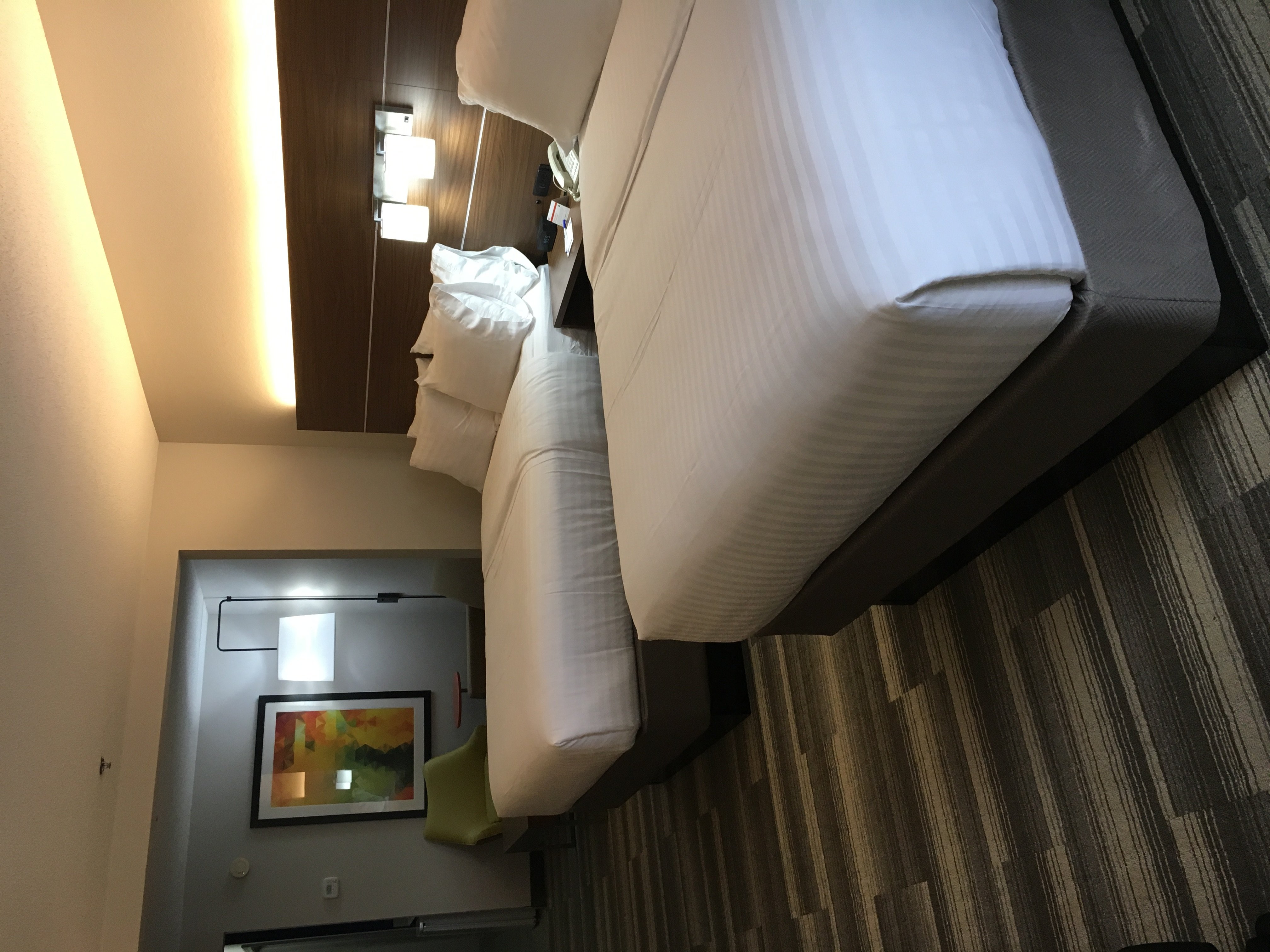 Suite King Bed Non Smoking