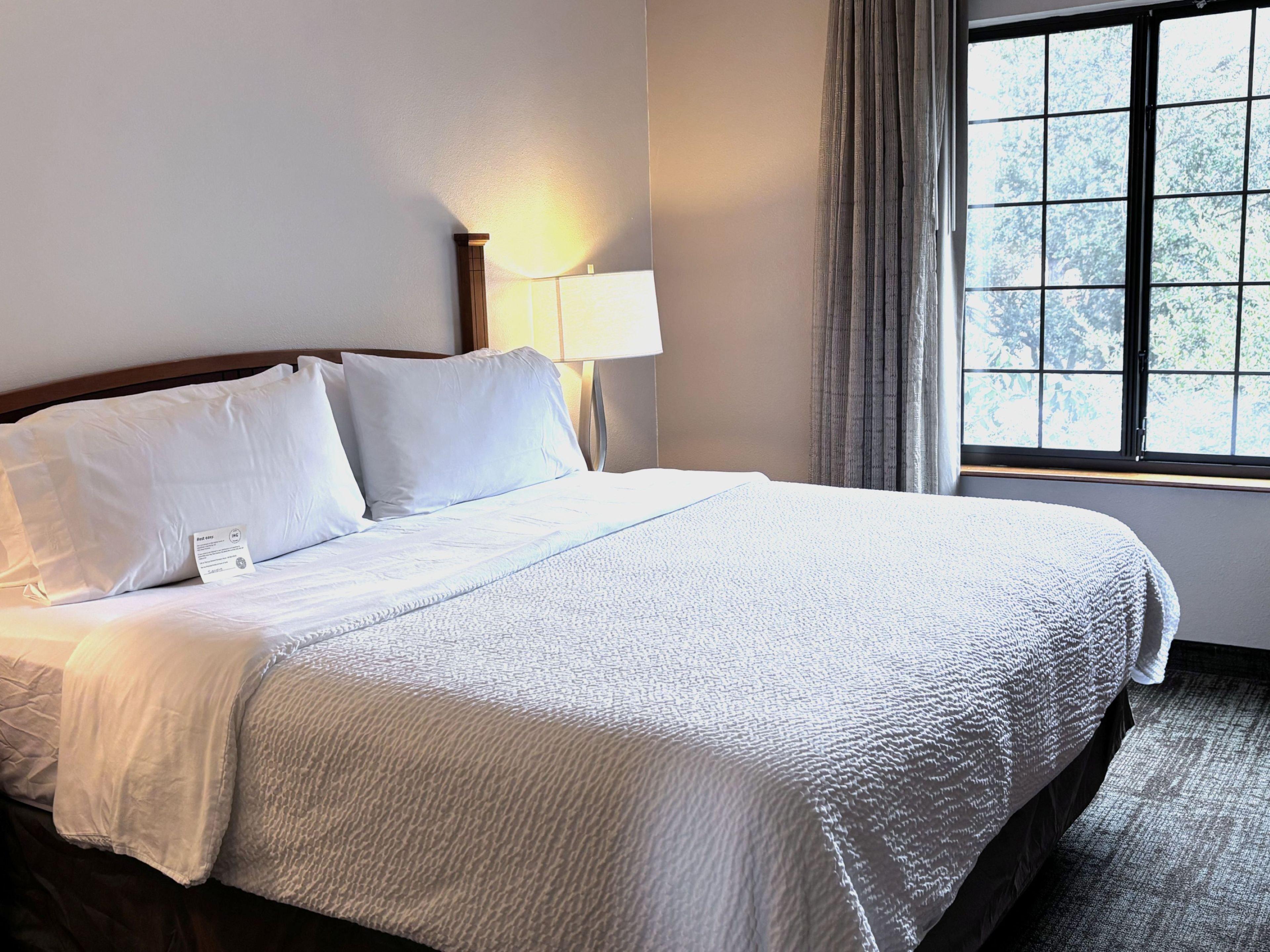 Suite King Bed One Bedroom 