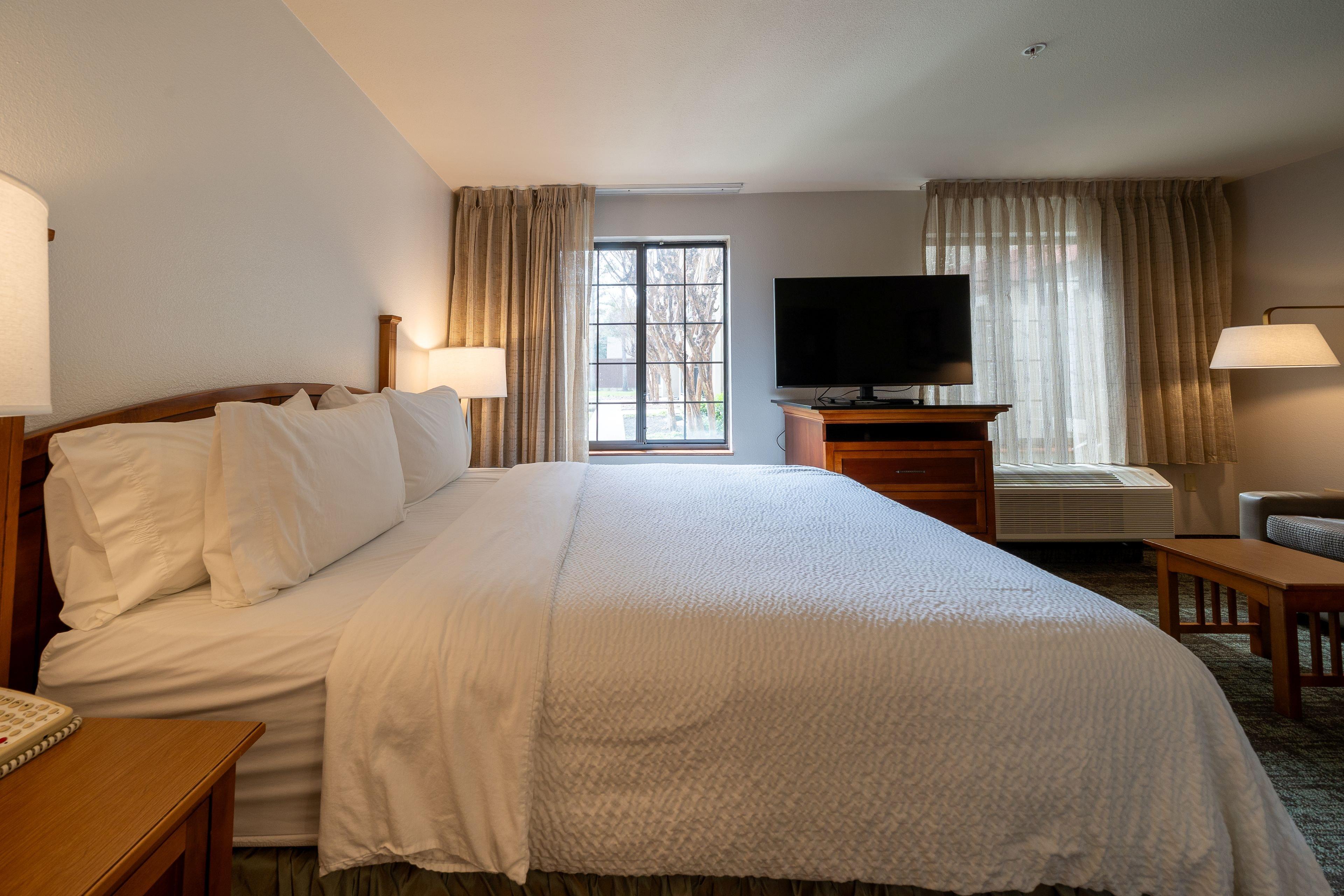 Suite Accessible King Size Bed