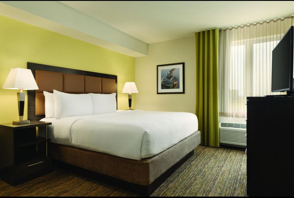 Suite King Bed One Bedroom 