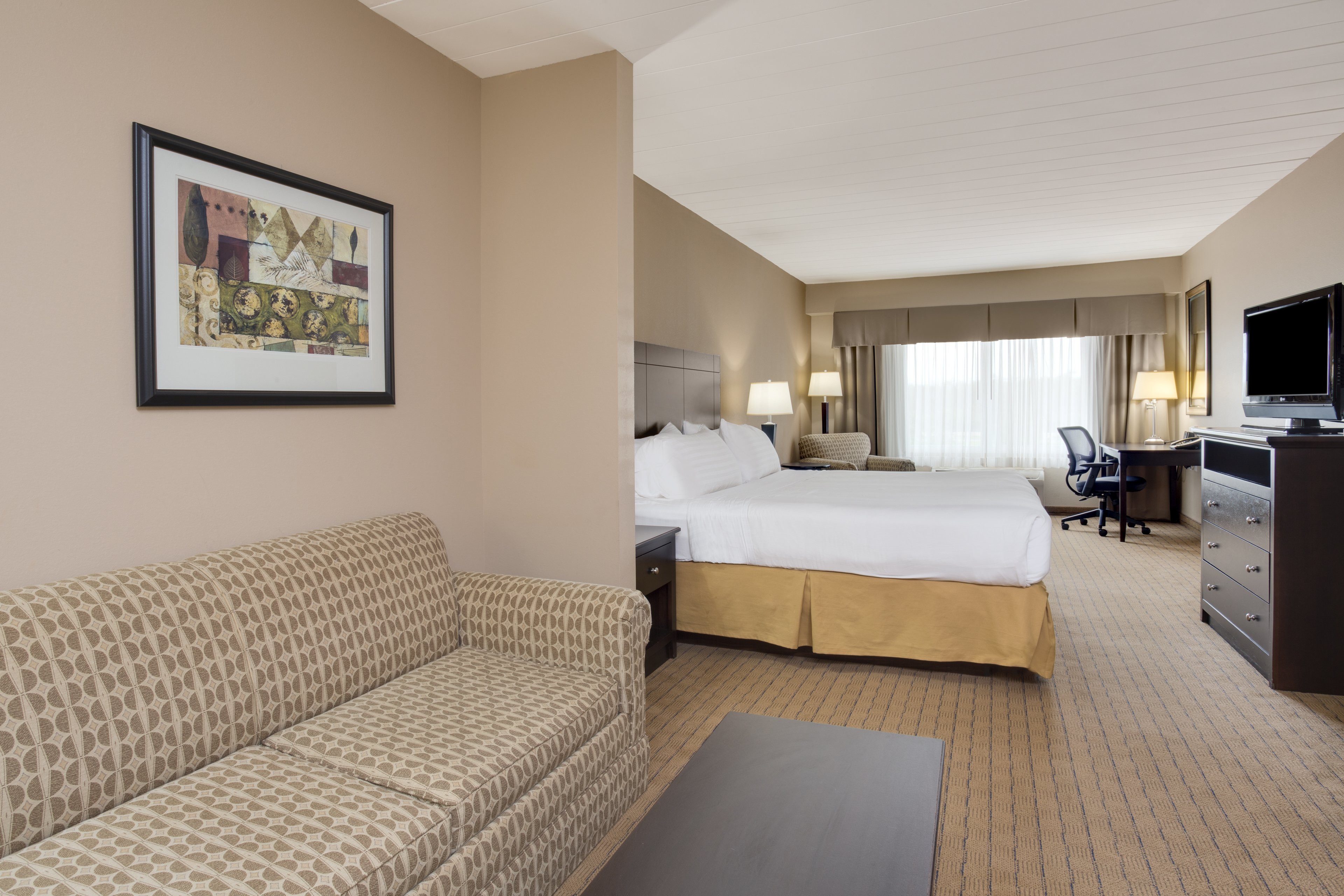 Suite King Bed Non Smoking