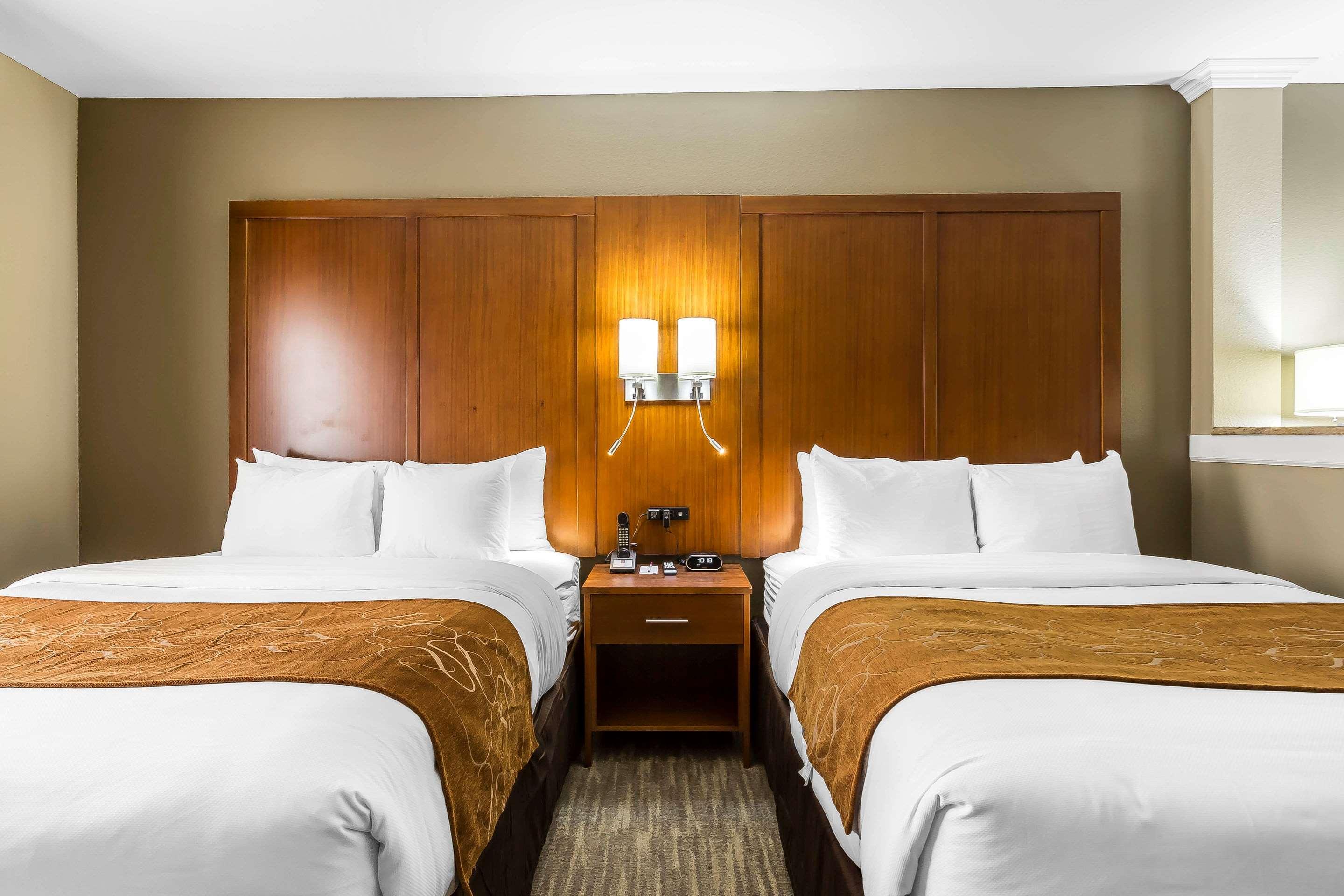 Suite Two Queen Beds