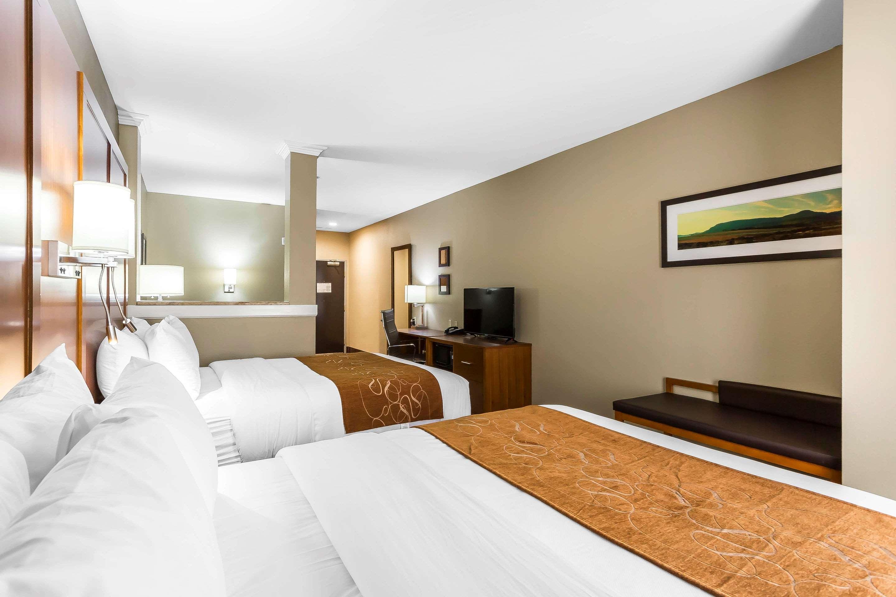 Suite Two Queen Beds