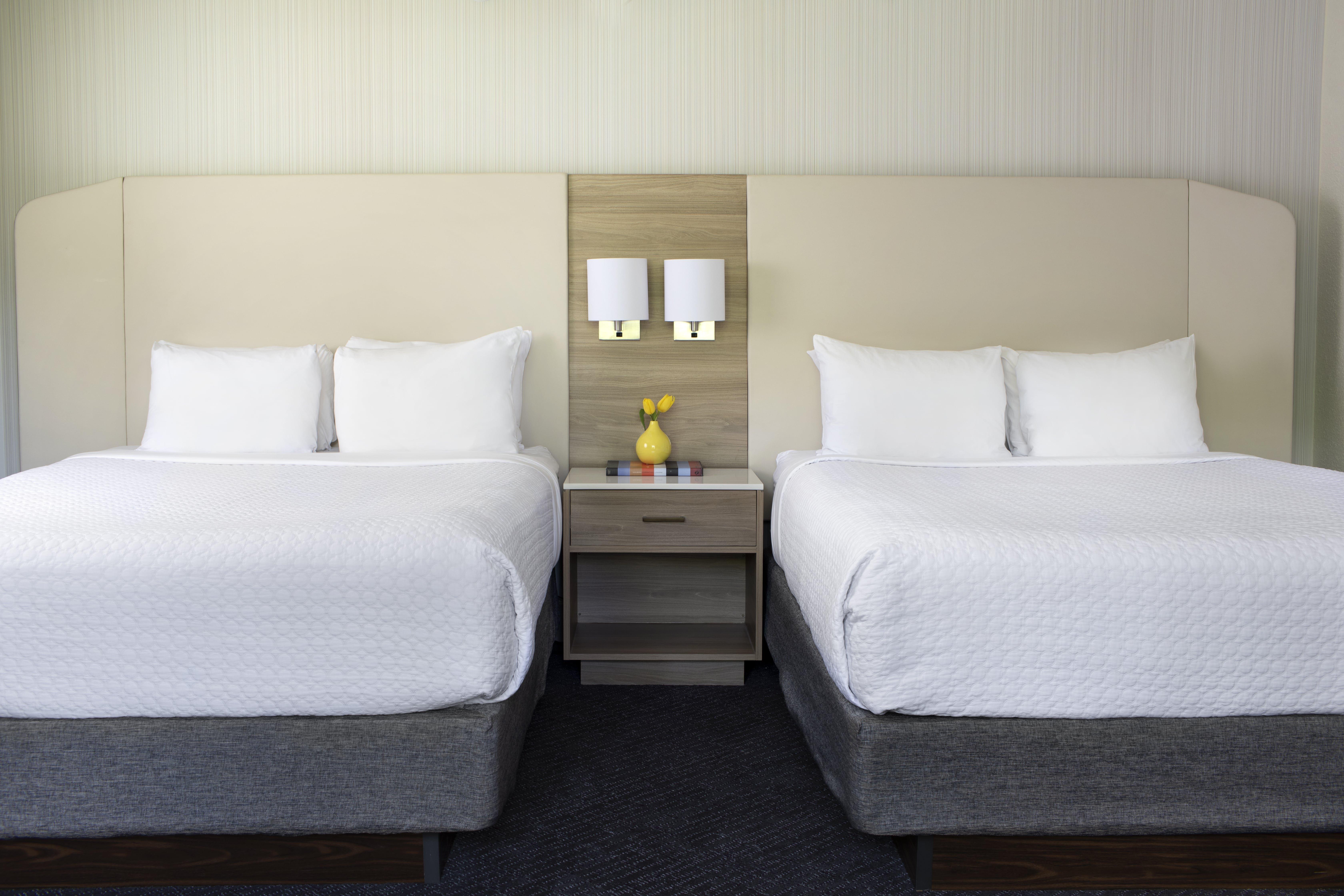 Double Two Queen Beds