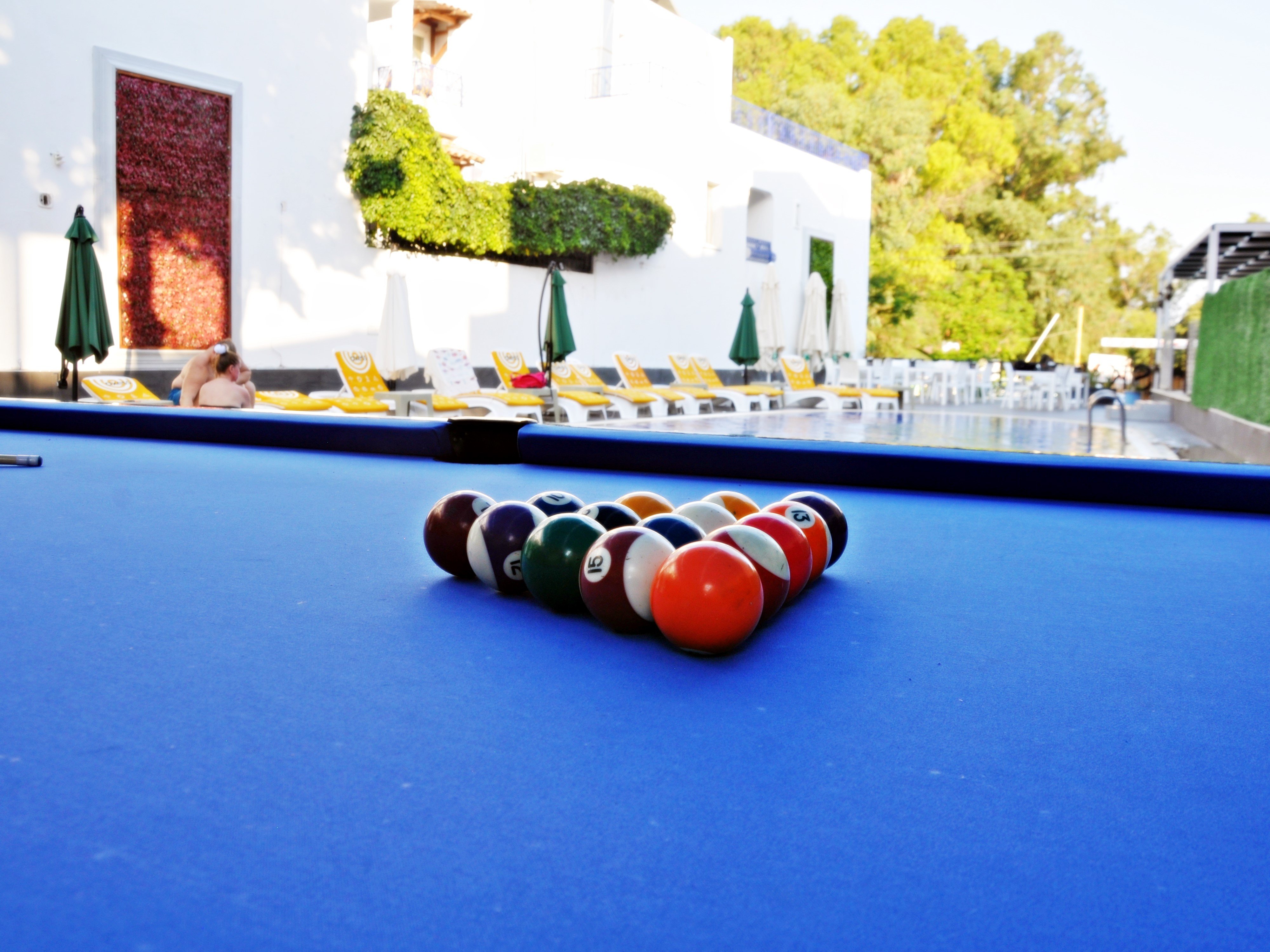 Sports and Entertainment