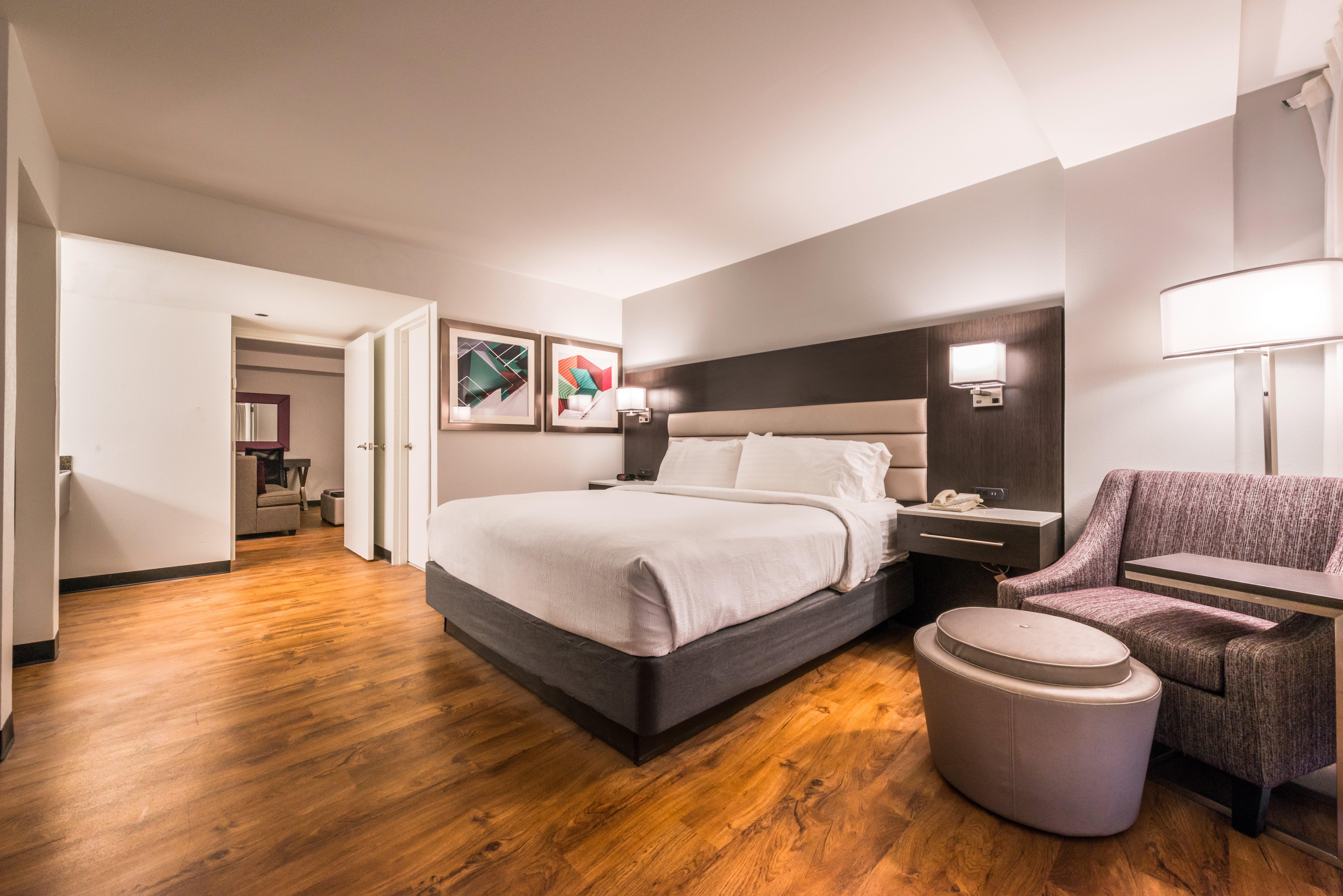 Suite King Bed One Bedroom 