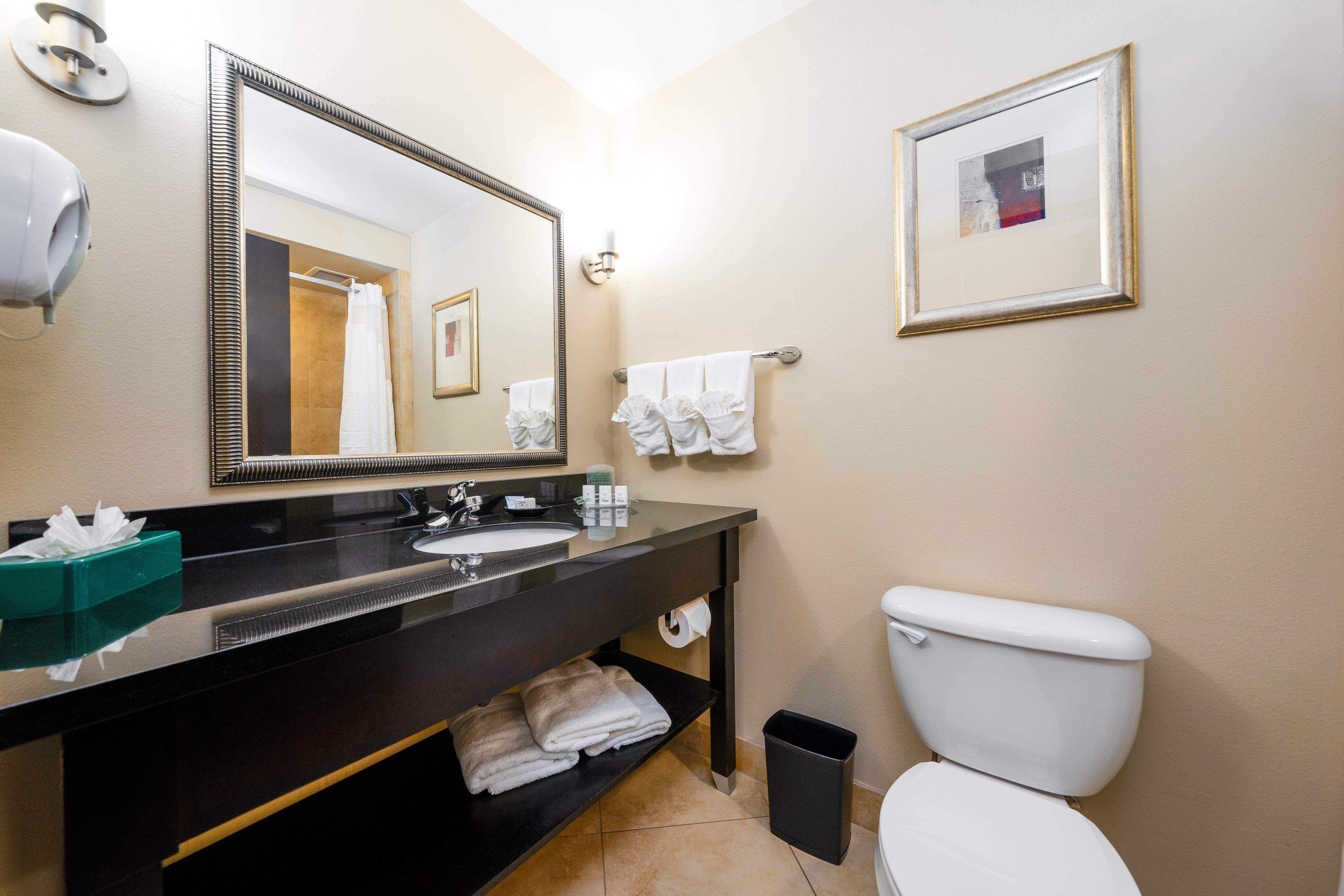 Room Accessible King Size Bed